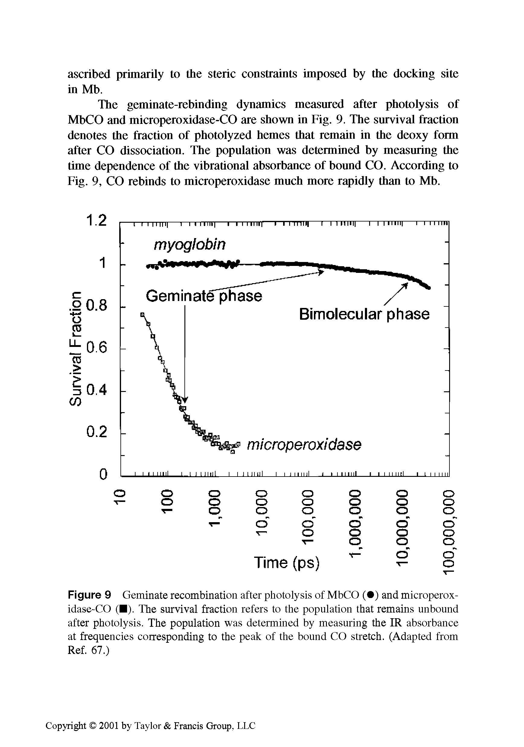 Figure 9 Geminate recombination after photolysis of MbCO ( ) and microperoxidase-CO ( ). The survival fraction refers to the population that remains unbound after photolysis. The population was determined by measuring the IR absorbance at frequencies corresponding to the peak of the bound CO stretch. (Adapted from Ref. 67.)...