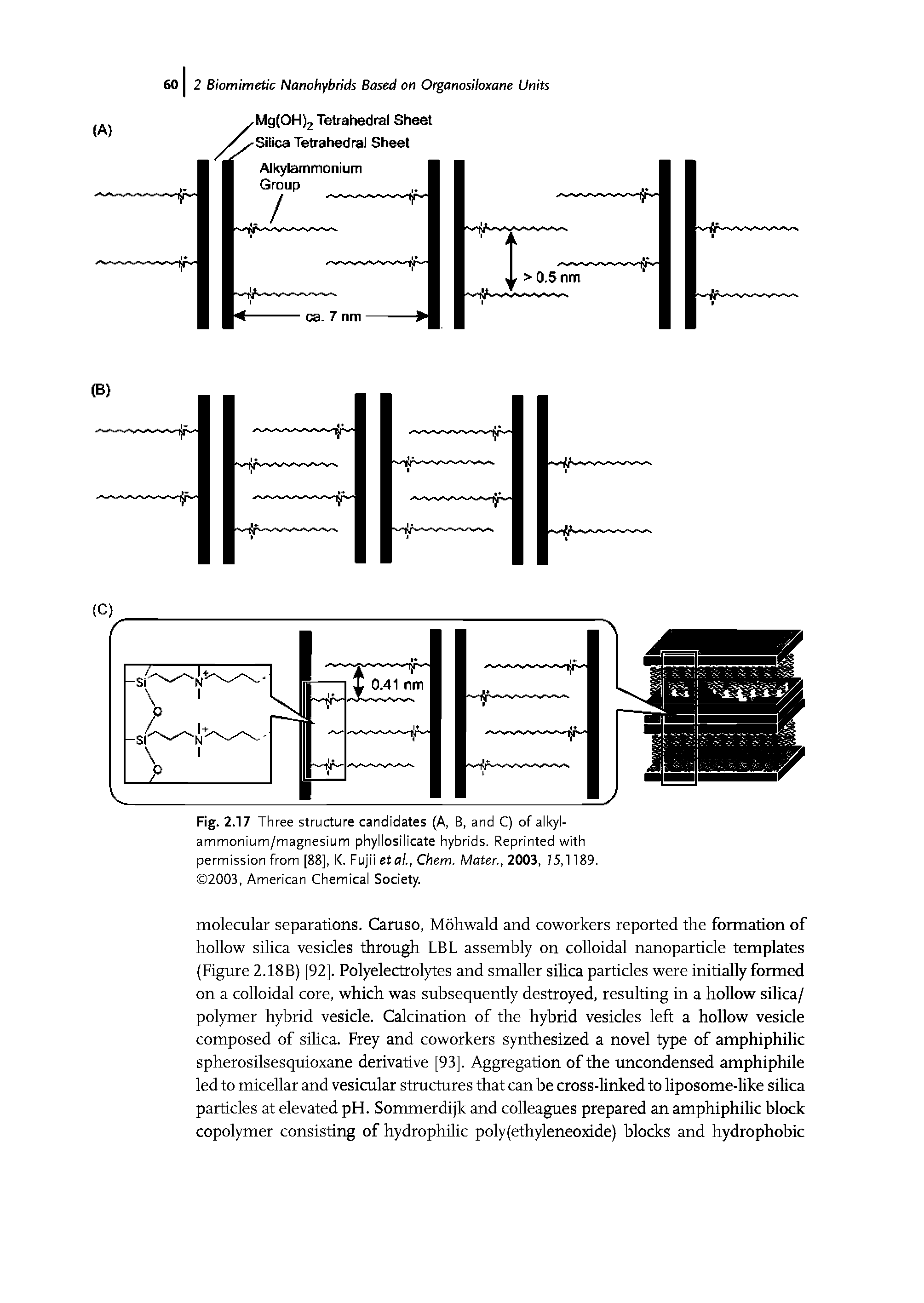 Fig. 2.17 Three structure candidates (A, B, and C) of alkyl-ammonium/magnesium phyllosilicate hybrids. Reprinted with permission from [88], K. Fuji etal., Chem. Mater., 2003, 75,1189.