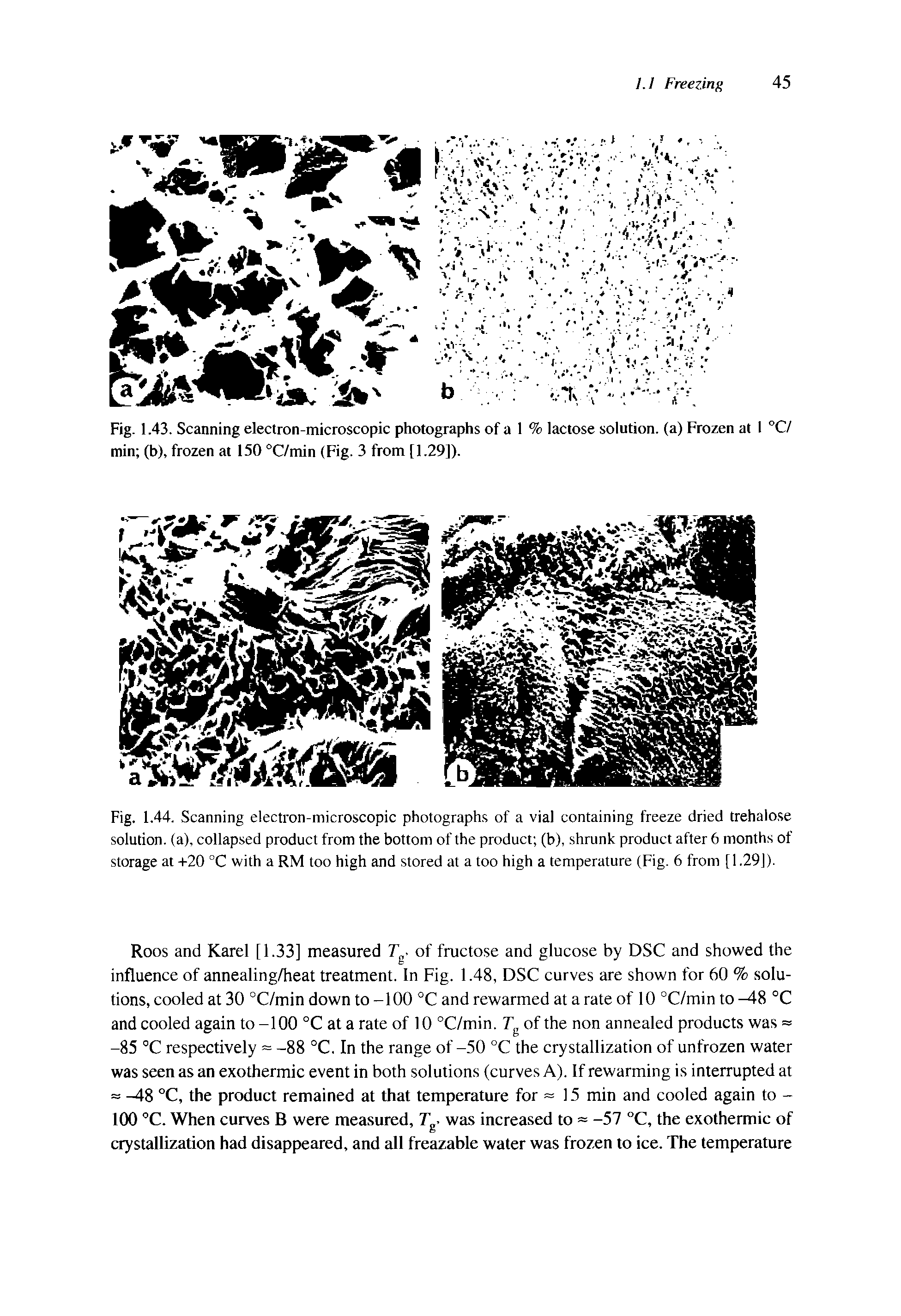 Fig. 1.44. Scanning electron-microscopic photographs of a vial containing freeze dried trehalose solution, (a), collapsed product from the bottom of the product (b), shrunk product after 6 months of storage at +20 °C with a RM too high and stored at a too high a temperature (Fig. 6 from [ 1.29]).