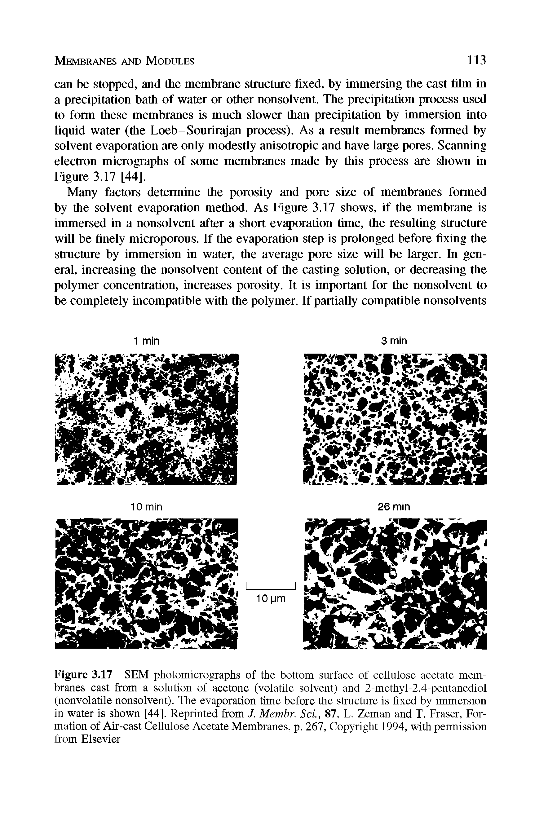 Figure 3.17 SEM photomicrographs of the bottom surface of cellulose acetate membranes cast from a solution of acetone (volatile solvent) and 2-methyl-2,4-pentanediol (nonvolatile nonsolvent). The evaporation time before the structure is fixed by immersion in water is shown [44]. Reprinted from J. Membr. Sci., 87, L. Zeman and T. Fraser, Formation of Air-cast Cellulose Acetate Membranes, p. 267, Copyright 1994, with permission from Elsevier...