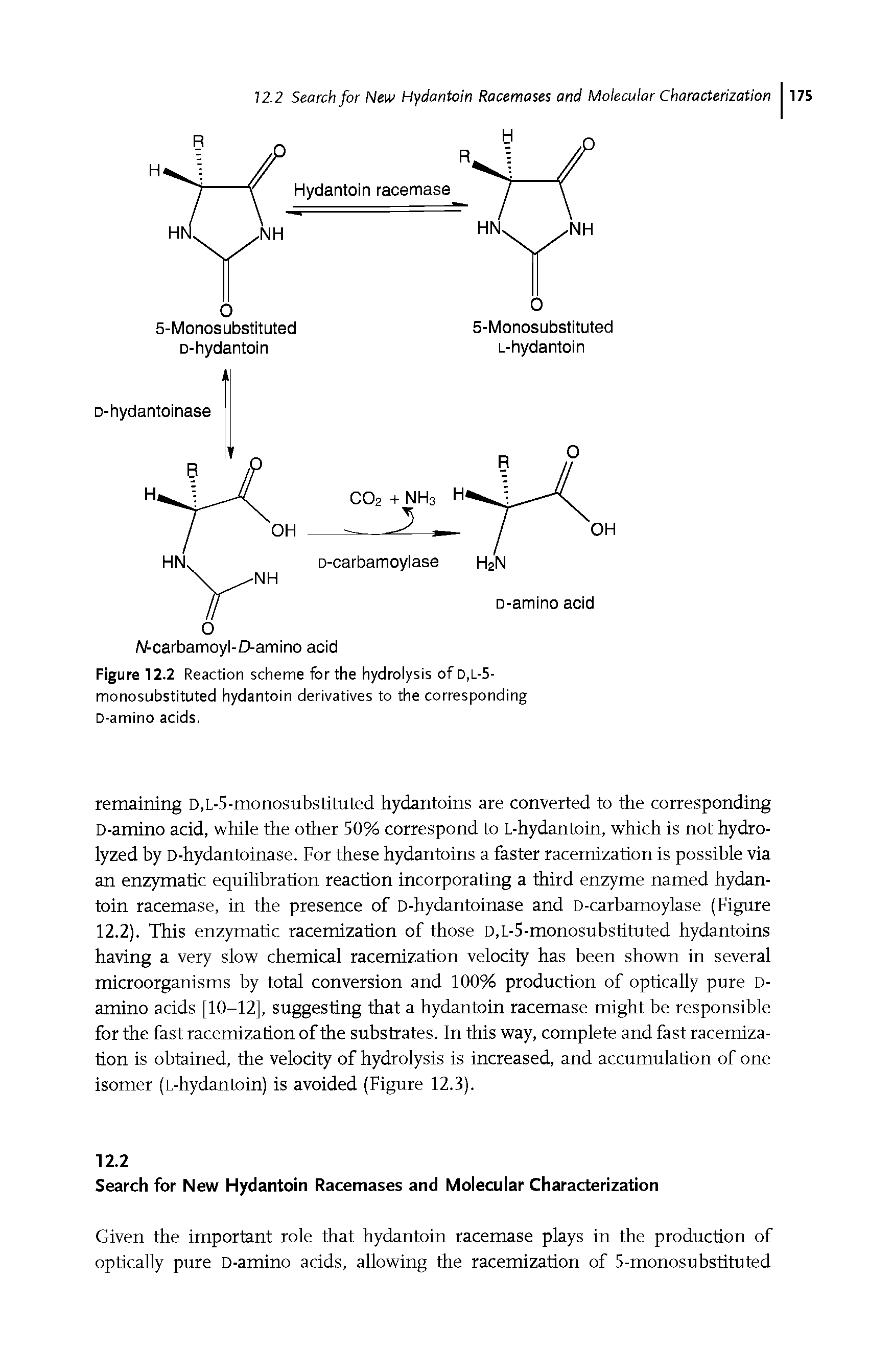 Figure 12.2 Reaction scheme for the hydrolysis of d,l-5-monosubstituted hydantoin derivatives to the corresponding D-amino acids.
