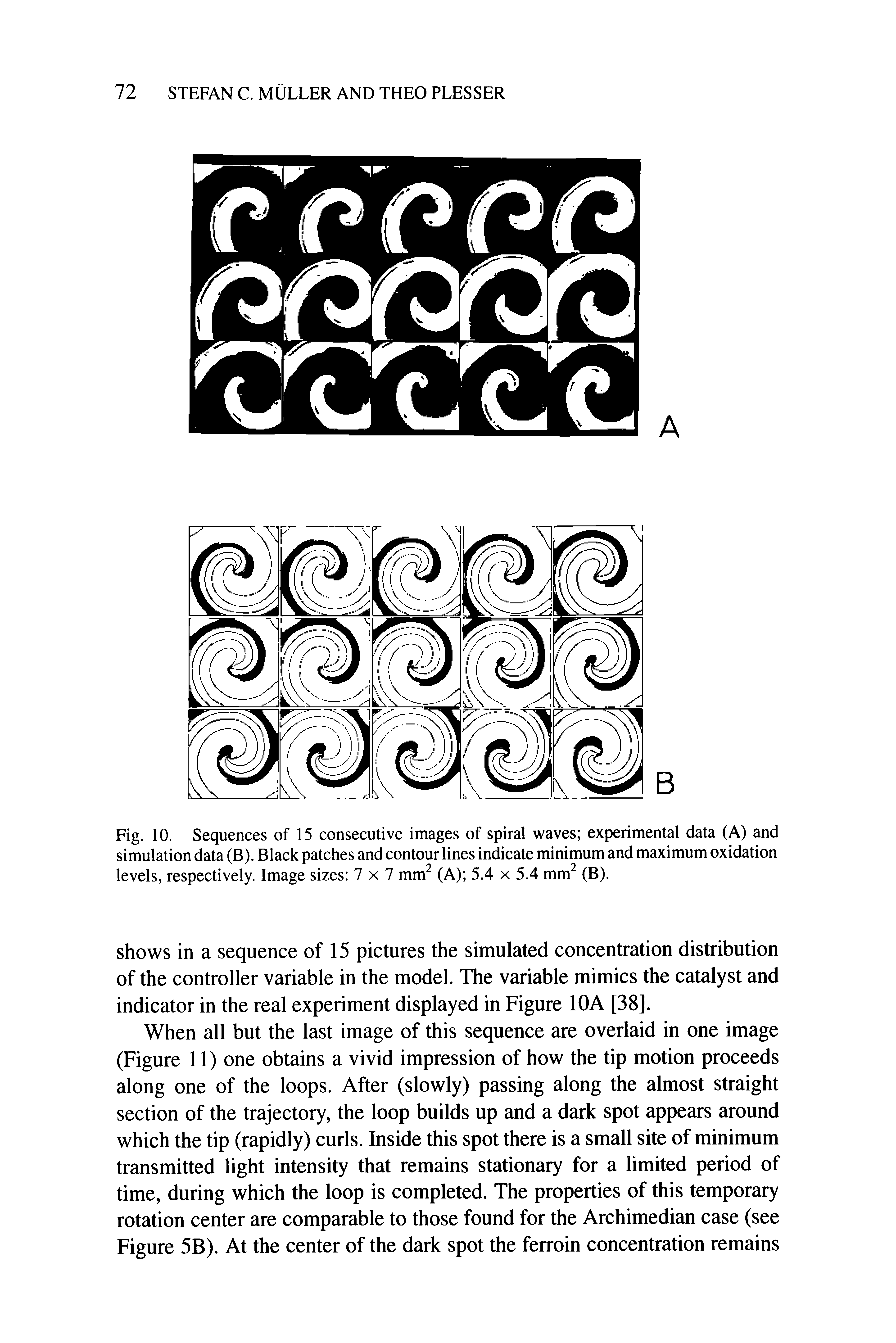 Fig. 10. Sequences of 15 consecutive images of spiral waves experimental data (A) and simulation data (B). Black patches and contour lines indicate minimum and maximum oxidation levels, respectively. Image sizes 7x7 mm (A) 5.4 x 5.4 mm (B).