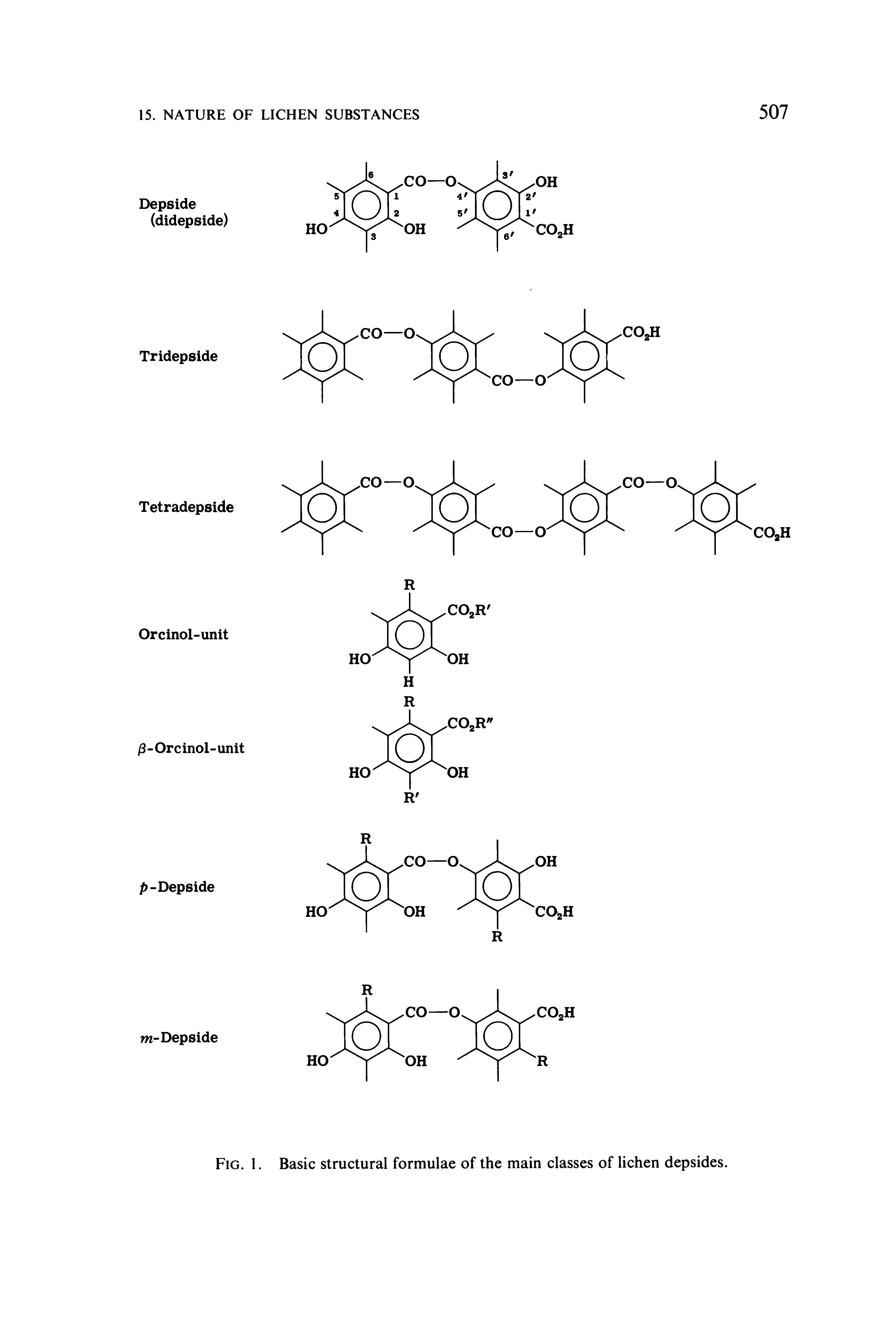 Fig. 1. Basic structural formulae of the main classes of lichen depsides.
