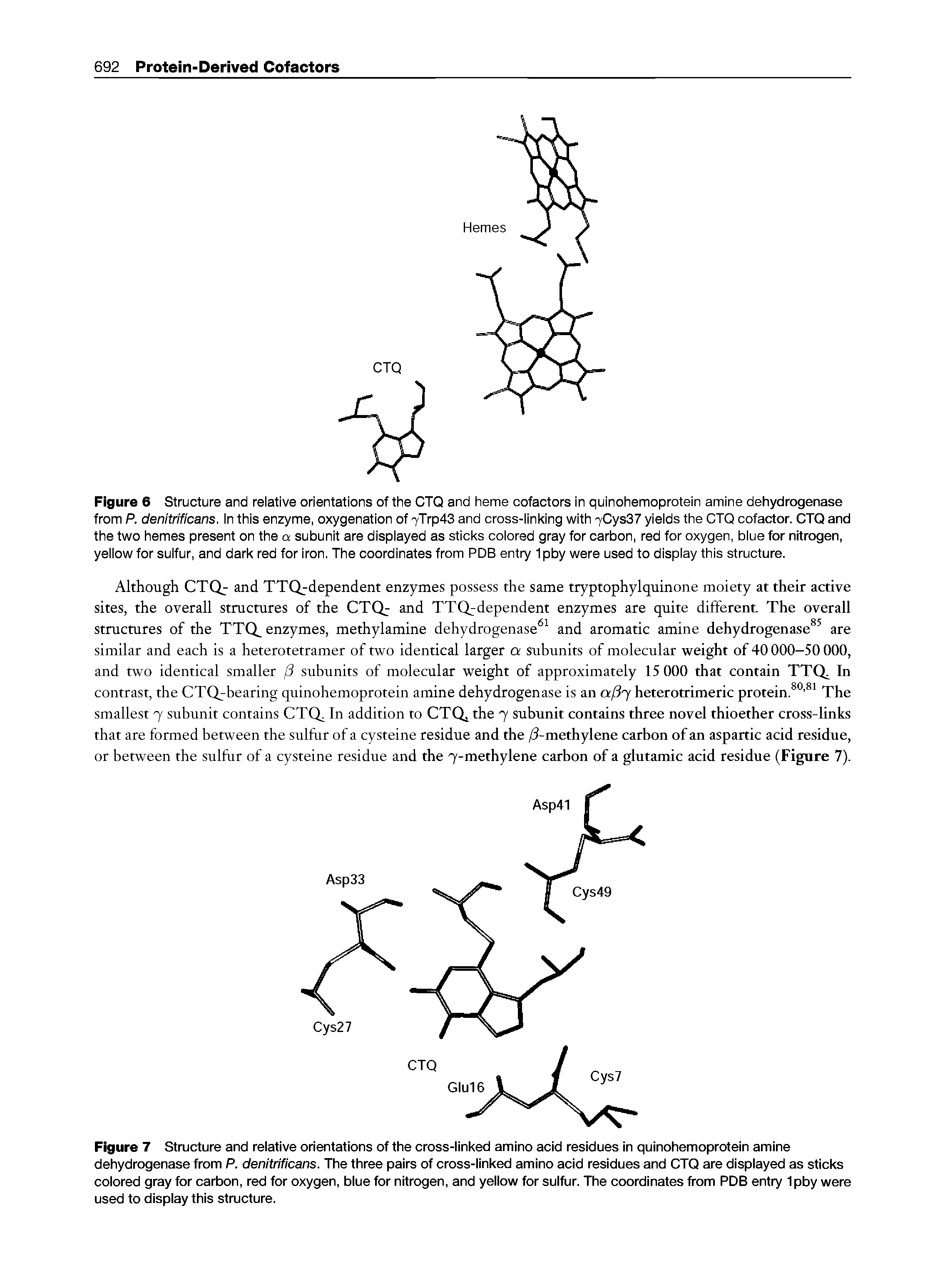 Figure 6 Structure and relative orientations of the CTQ and heme cofactors in quinohemoprotein amine dehydrogenase from P. denitrificans. In this enzyme, oxygenation of 7Trp43 and cross-linking with 7Cys37 yields the CTQ cofactor. CTQ and the two hemes present on the a subunit are displayed as sticks colored gray for carbon, red for oxygen, blue for nitrogen, yellow for sulfur, and dark red for iron. The coordinates from PDB entry 1 pby were used to display this structure.