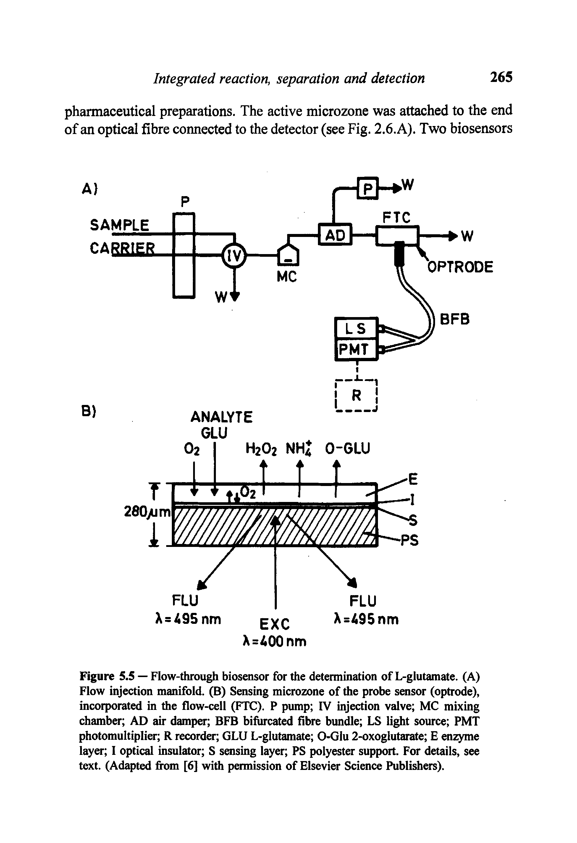 Figure 5.5 — Flow-through biosensor for the determination of L-glutamate. (A) Flow injection manifold. (B) Sensing microzone of the probe sensor (optrode), incorporated in the flow-cell (FTC). P pump IV injection valve MC mixing chamber AD air damper BFB bifurcated fibre bimdle LS light source PMT photomultiplier R recorder GLU L-glutamate 0-Glu 2-oxoglutarate E enzyme layer I optical insulator S sensing layer PS polyester support. For details, see text. (Adapted from [6] with permission of Elsevier Science Publishers).