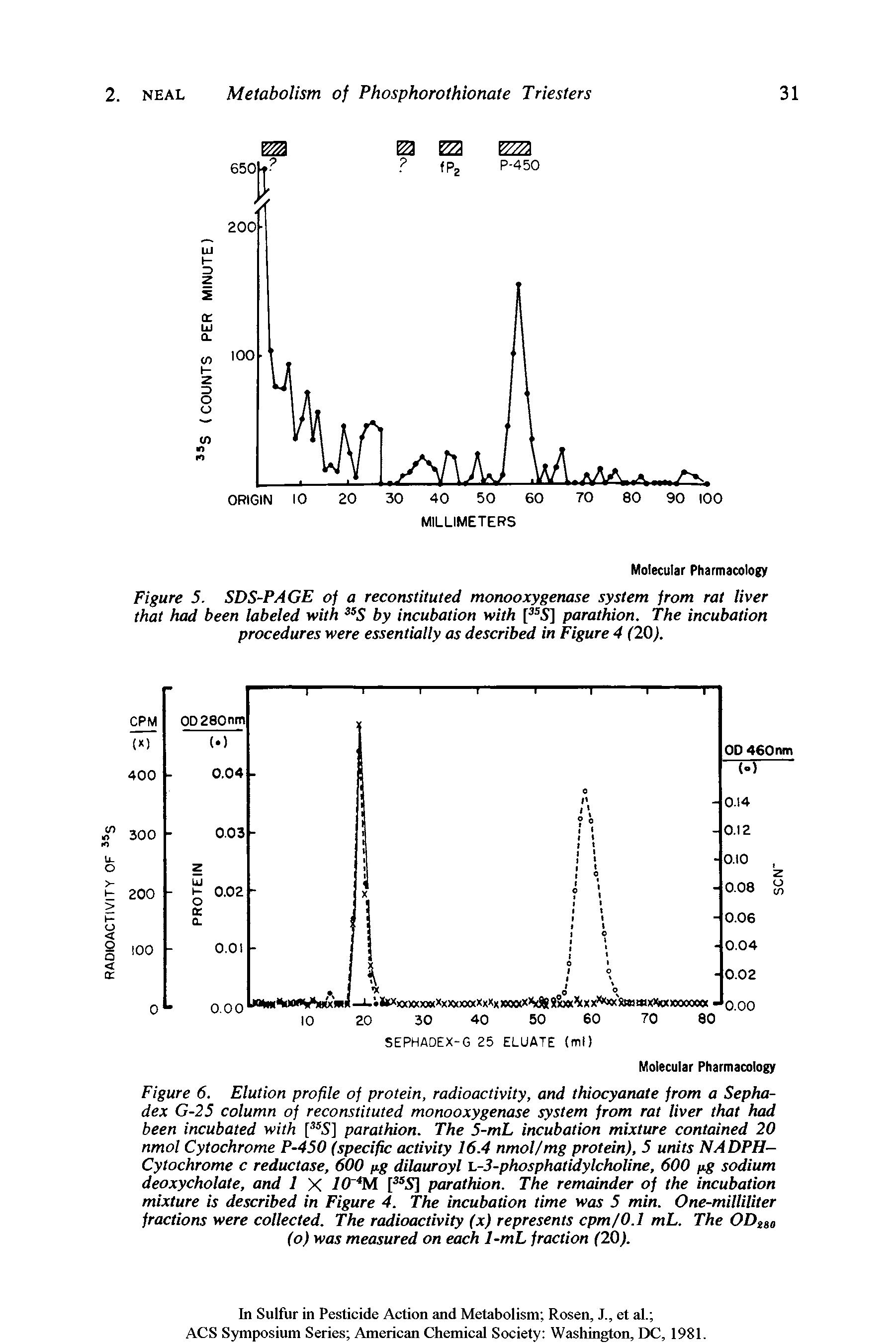 Figure 6. Elution profile of protein, radioactivity, and thiocyanate from a Sepha-dex G-25 column of reconstituted monooxygenase system from rat liver that had been incubated with [ 5] parathion. The 5-mL incubation mixture contained 20 nmol Cytochrome P-450 (specific activity 16.4 nmol/mg protein), 5 units NADPH-Cytochrome c reductase, 600 fig dilauroyl L-3-phosphatidylchoUne, 600 fig sodium deoxycholate, and 1 X IO M p 5] parathion. The remainder of the incubation mixture is described in Figure 4. The incubation time was 5 min. One-milliliter fractions were collected. The radioactivity (x) represents cpm/0.1 mL. The OOggo (o) was measured on each 1-mL fraction (20).