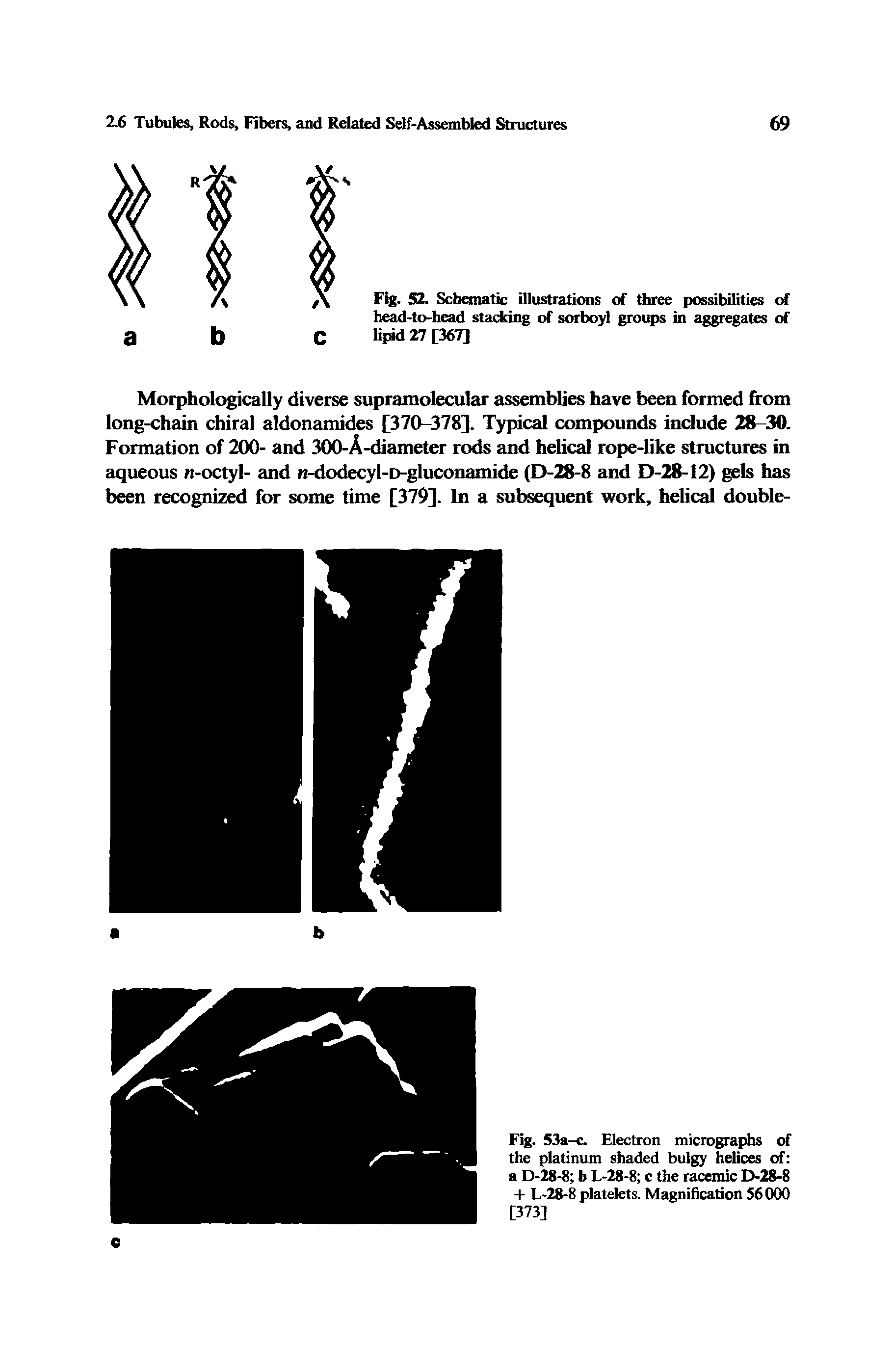 Fig. 52. Schematic illustrations of three possibilities of head-to-head stacking of sorboyl groups in aggregates of lipid 27 [367]...