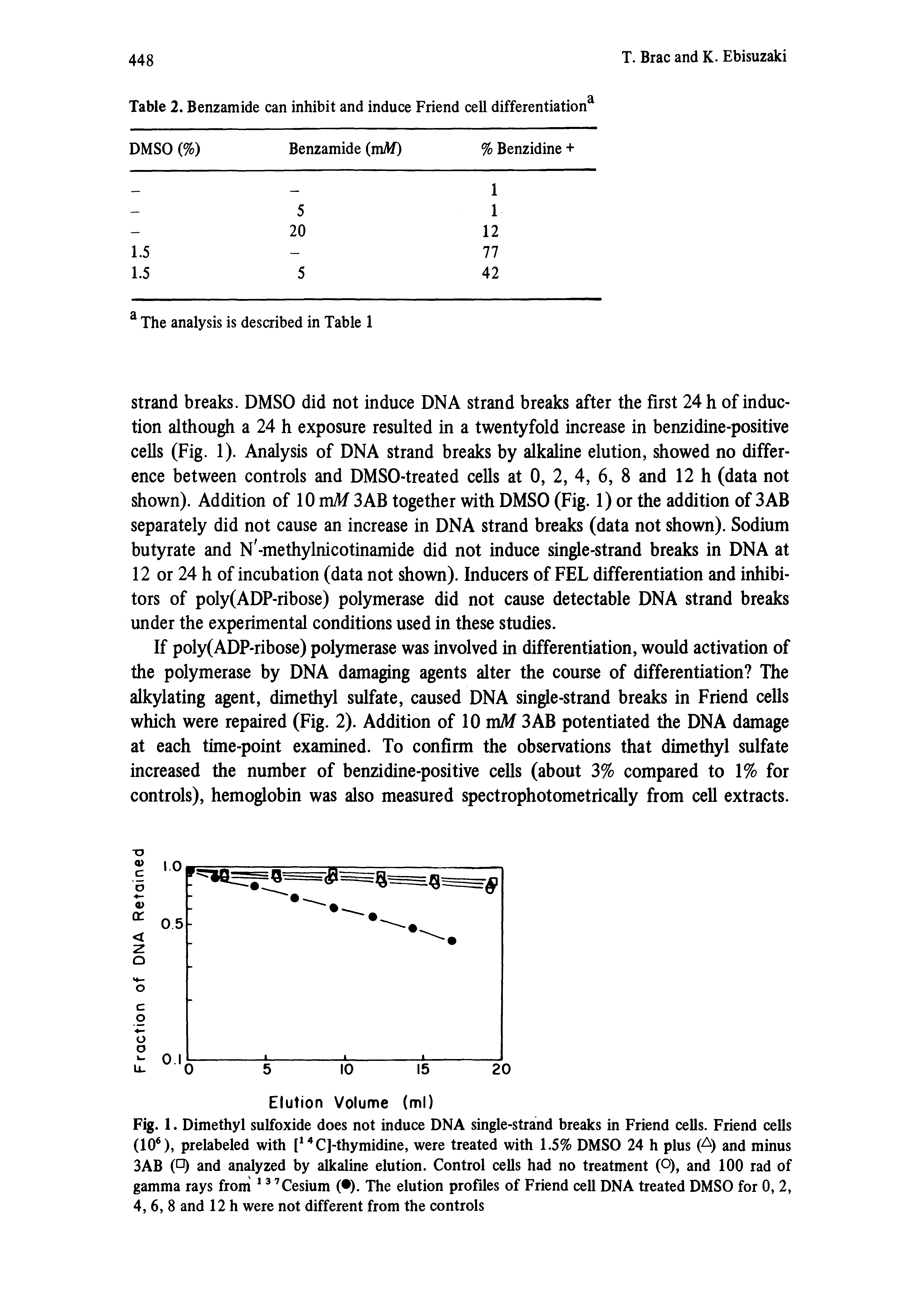 Fig. 1. Dimethyl sulfoxide does not induce DNA single-strand breaks in Friend cells. Friend cells (10 ), prelabeled with C]-thymidine, were treated with 1.5% DMSO 24 h plus ( ) and minus...