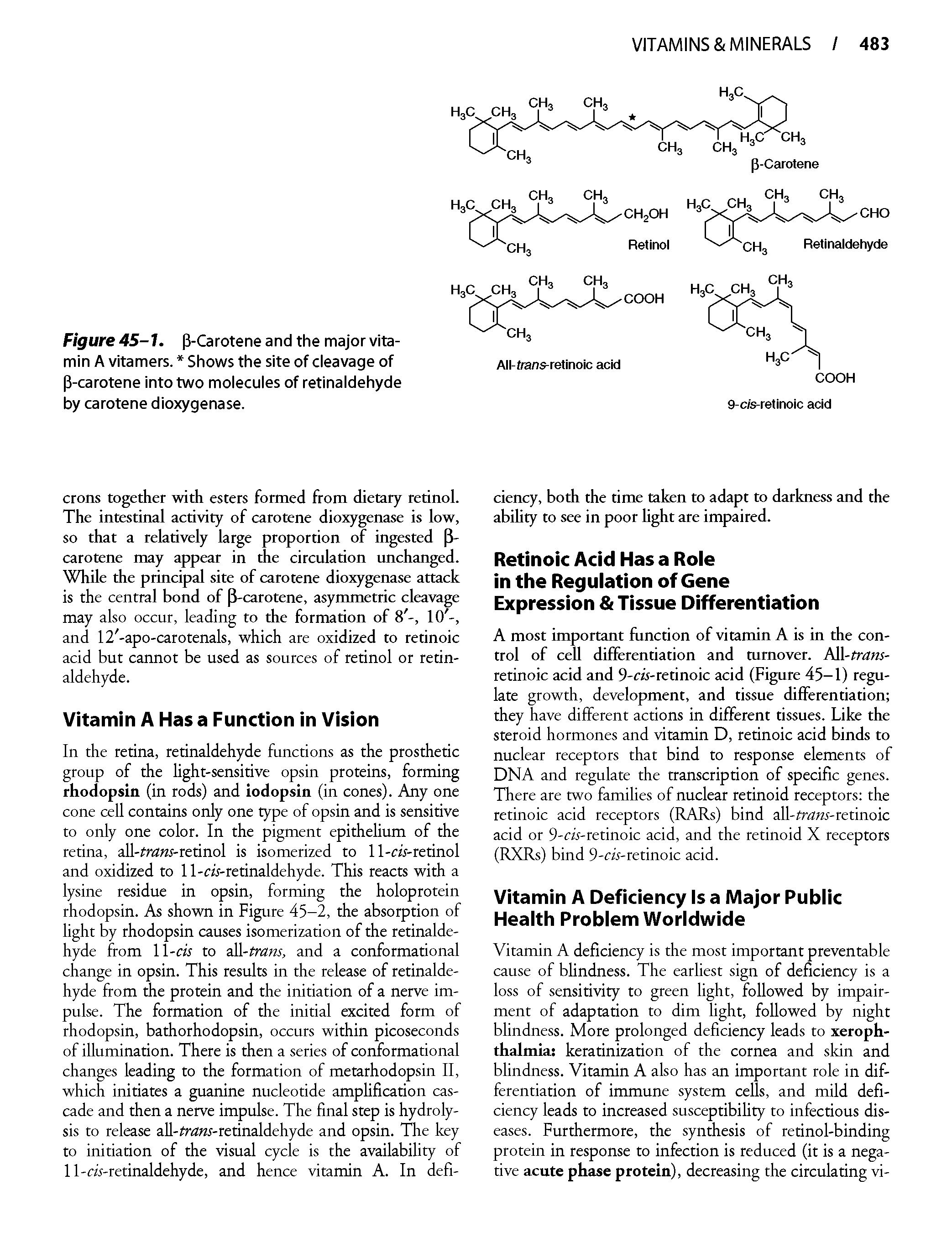 Figure 45-1. P-Carotene and the major vitamin A vitamers. Shows the site of cleavage of P-carotene into two molecules of retinaldehyde by carotene dioxygenase.