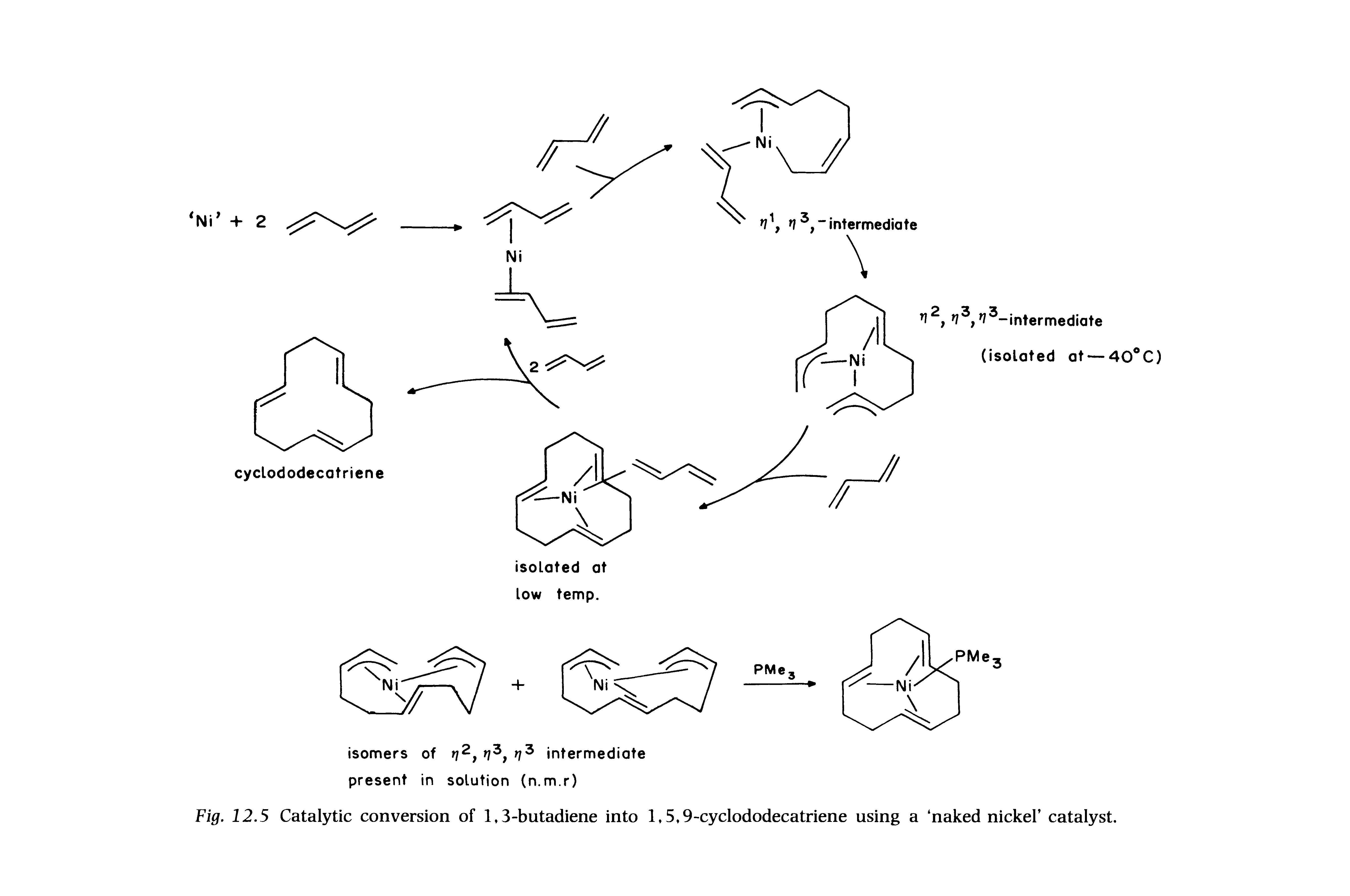 Fig. 12.5 Catalytic conversion of 1,3-butadiene into 1,5,9-cyclododecatriene using a naked nickel catalyst.