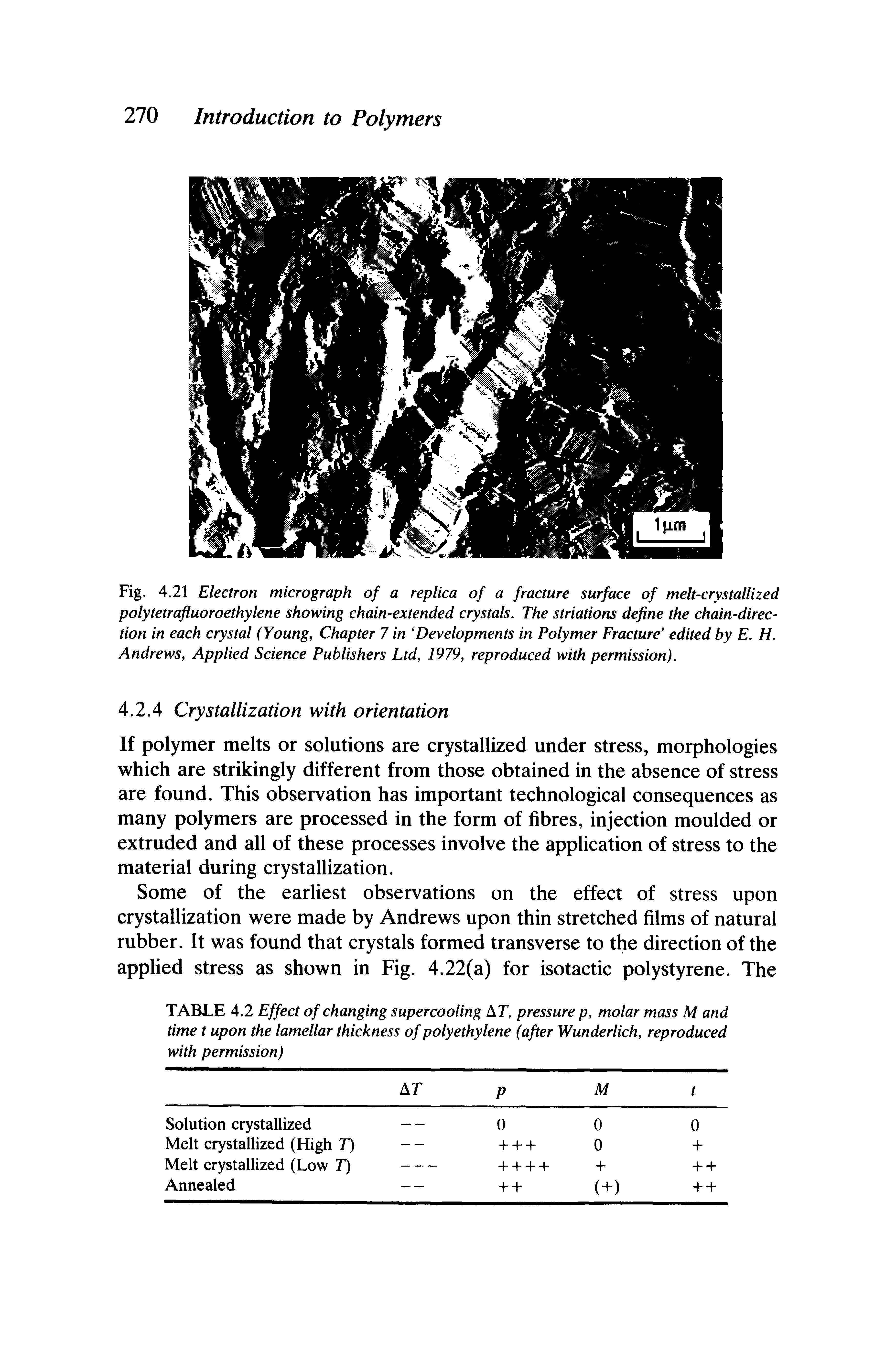 Fig. 4.21 Electron micrograph of a replica of a fracture surface of melt-crystallized polytetrafluoroethylene showing chain-extended crystals. The striations define the chain-direction in each crystal (Young, Chapter 7 in Developments in Polymer Fracture edited by E. H. Andrews, Applied Science Publishers Ltd, 1979, reproduced with permission).