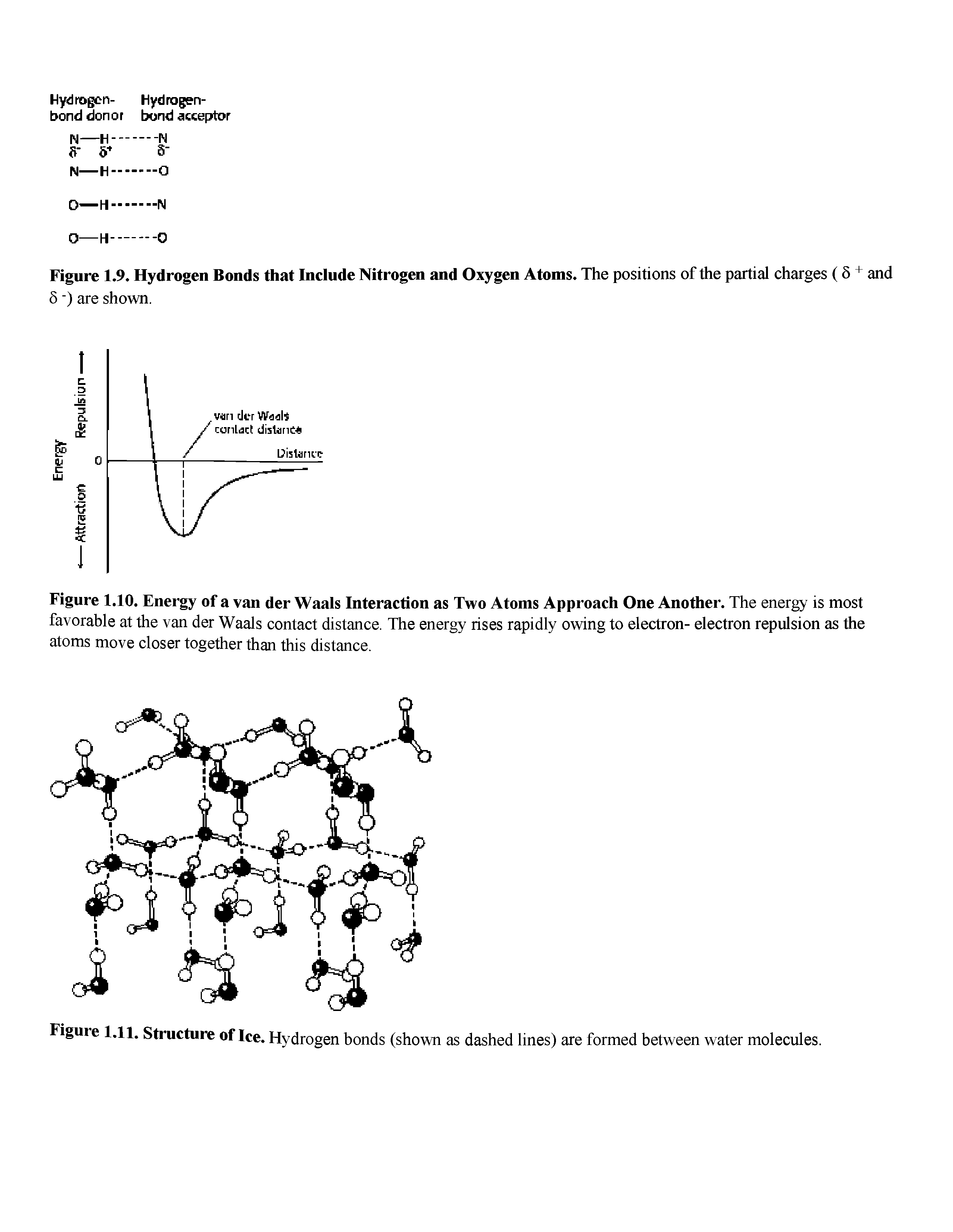 Figure 1.11. Structure of Ice. Hydrogen bonds (shown as dashed lines) are formed between water molecules.