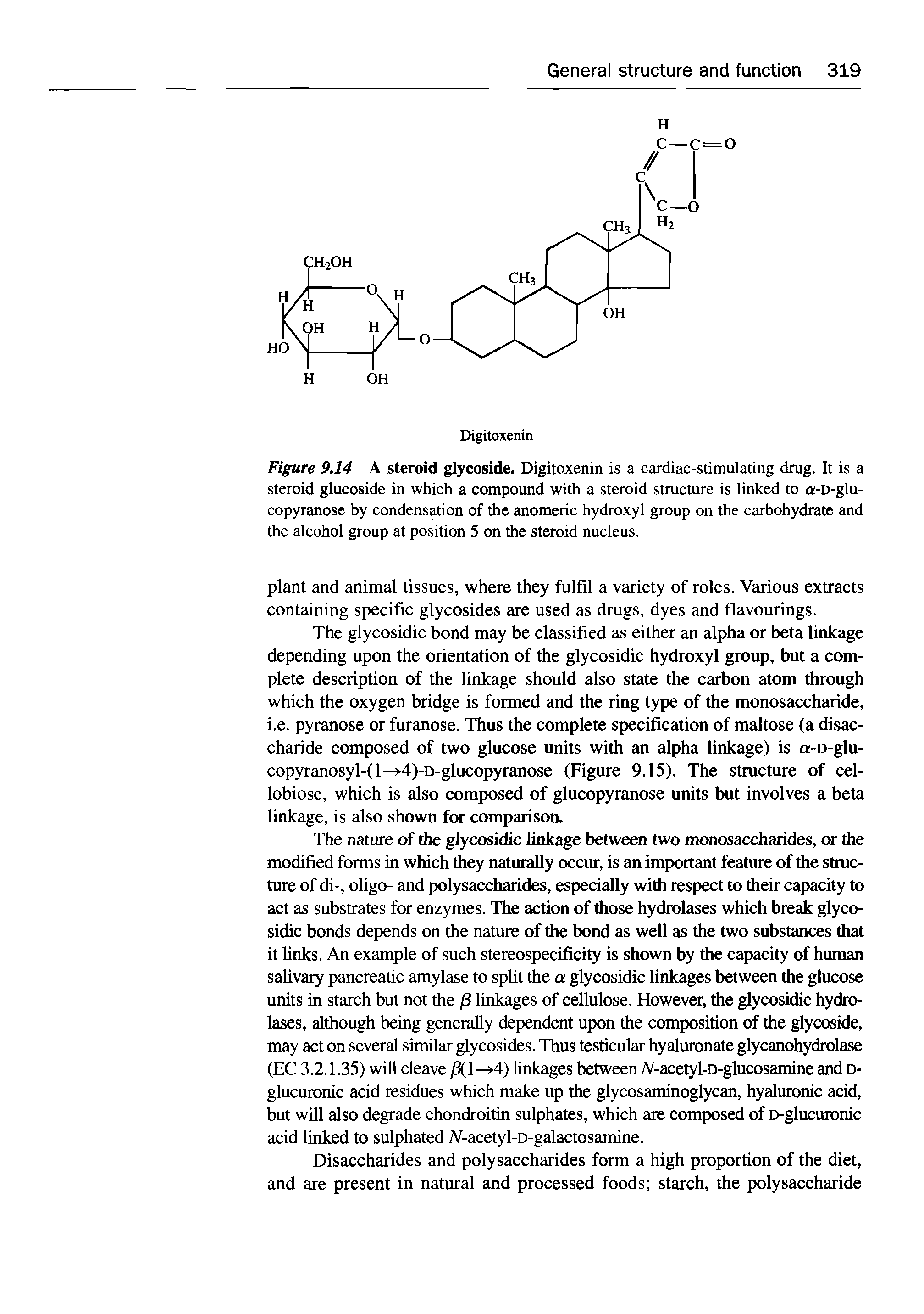 Figure 9.14 A steroid glycoside. Digitoxenin is a cardiac-stimulating drug. It is a steroid glucoside in which a compound with a steroid structure is linked to a-D-glu-copyranose by condensation of the anomeric hydroxyl group on the carbohydrate and the alcohol group at position 5 on the steroid nucleus.