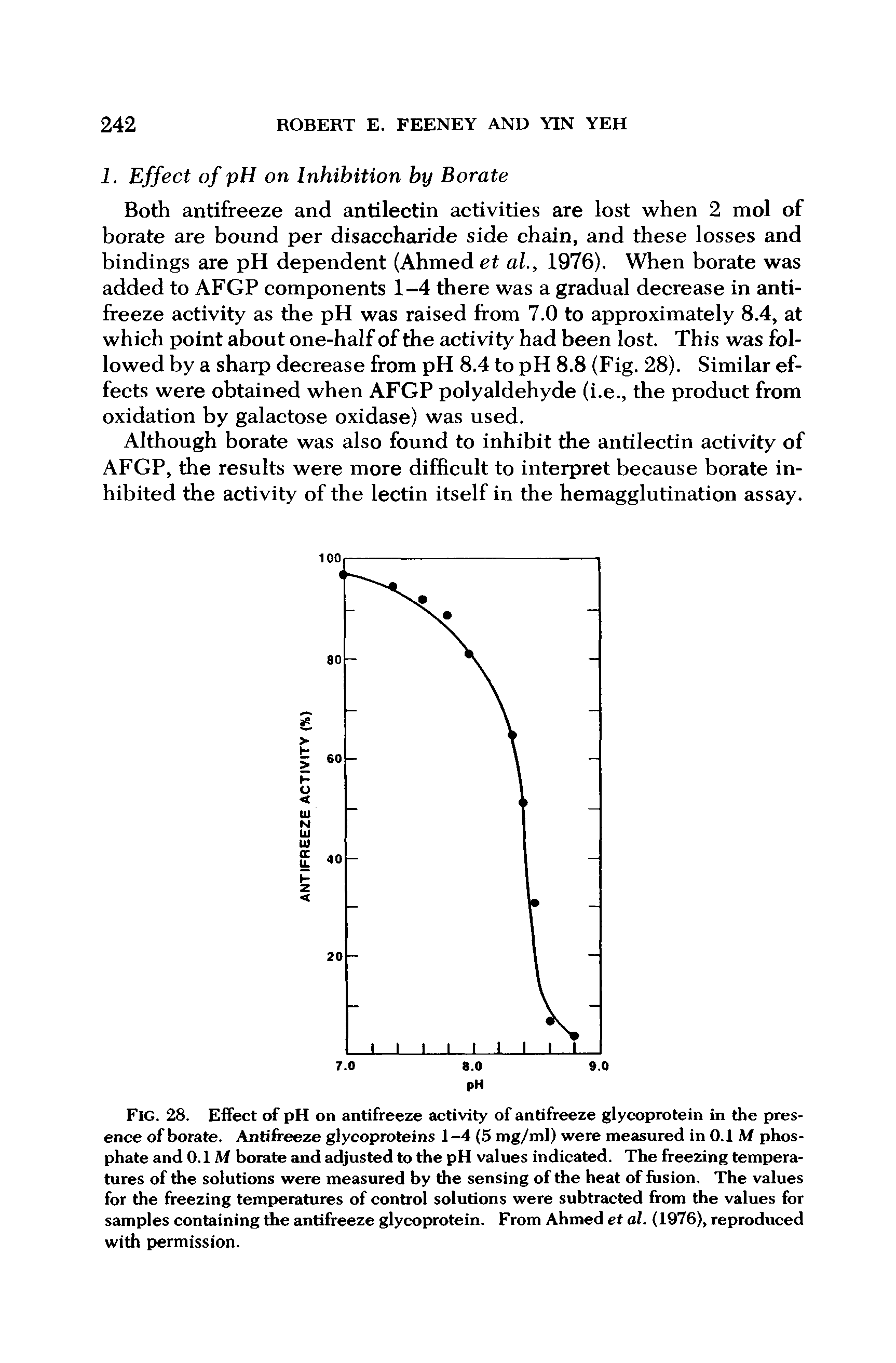 Fig. 28. Effect of pH on antifreeze activity of antifreeze glycoprotein in the presence of borate. Antifreeze glycoproteins 1-4 (5 mg/ml) were measured in 0.1 M phosphate and 0.1 M borate and adjusted to the pH values indicated. The freezing temperatures of the solutions were measured by the sensing of the heat of fusion. The values for the freezing temperatures of control solutions were subtracted from the values for samples containing the antifreeze glycoprotein. From Ahmed et al. (1976), reproduced with permission.