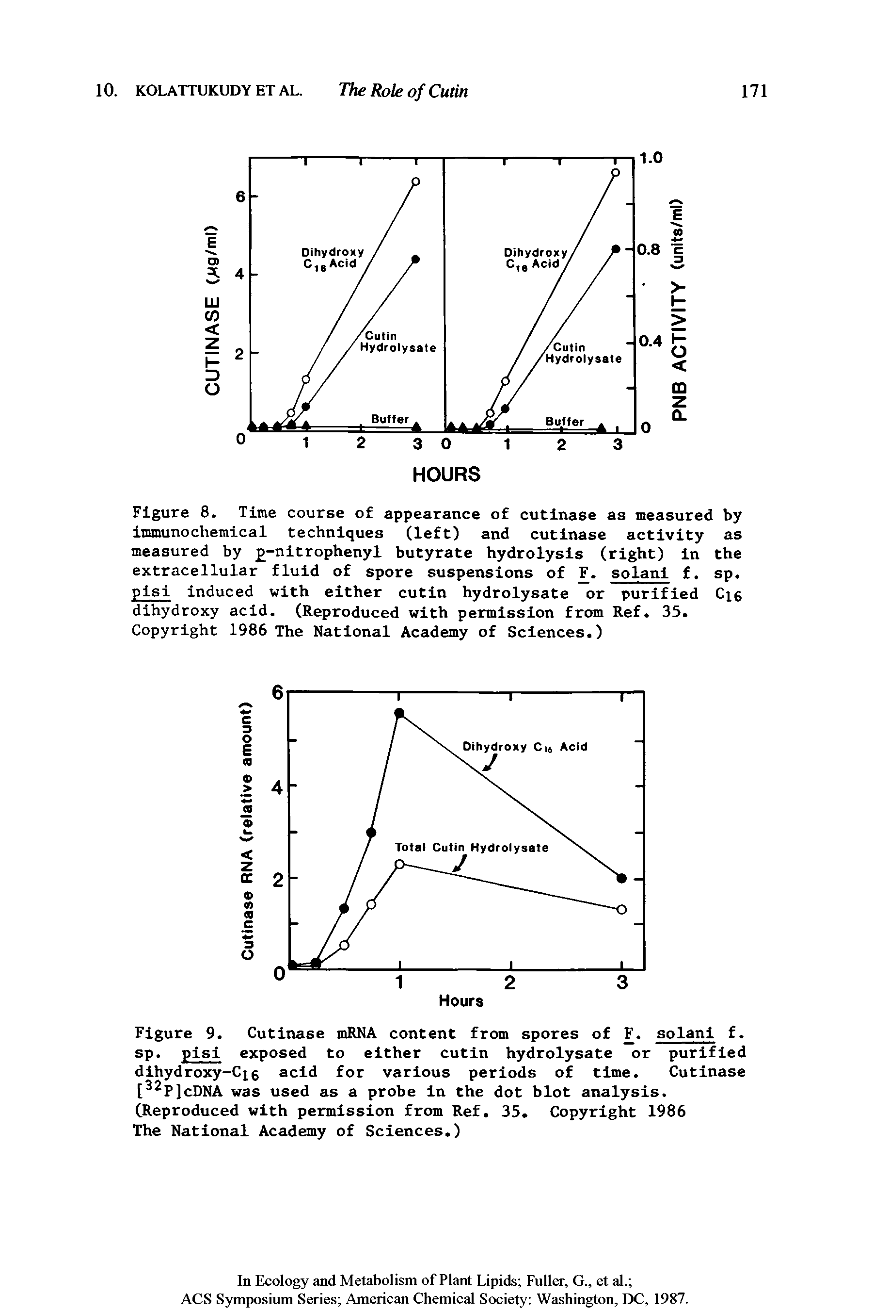 Figure 8. Time course of appearance of cutinase as measured by immunochemical techniques (left) and cutinase activity as measured by -nitrophenyl butyrate hydrolysis (right) in the extracellular fluid of spore suspensions of F. solani f. sp. pisi induced with either cutin hydrolysate or purified Cie dihydroxy acid. (Reproduced with permission from Ref. 35. Copyright 1986 The National Academy of Sciences.)...