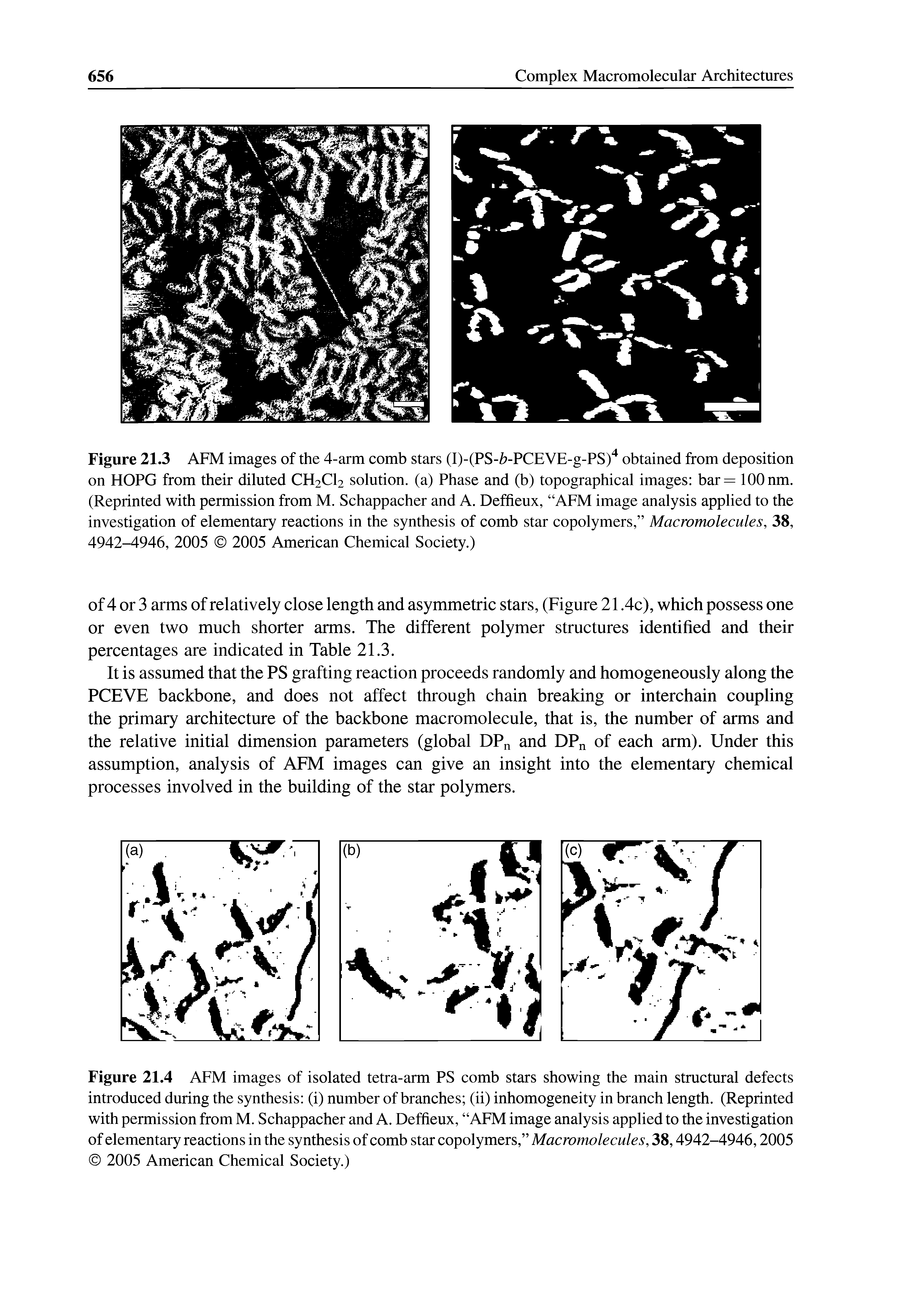 Figure 21.4 AFM images of isolated tetra-arm PS comb stars showing the main structural defects introduced during the synthesis (i) number of branches (ii) inhomogeneity in branch length. (Reprinted with permission from M. Schappacher and A. Deffieux, AFM image analysis applied to the investigation of elementary reactions in the synthesis of comb star copolymers, Macromolecules, 38,4942-4946,2005 2005 American Chemical Society.)...