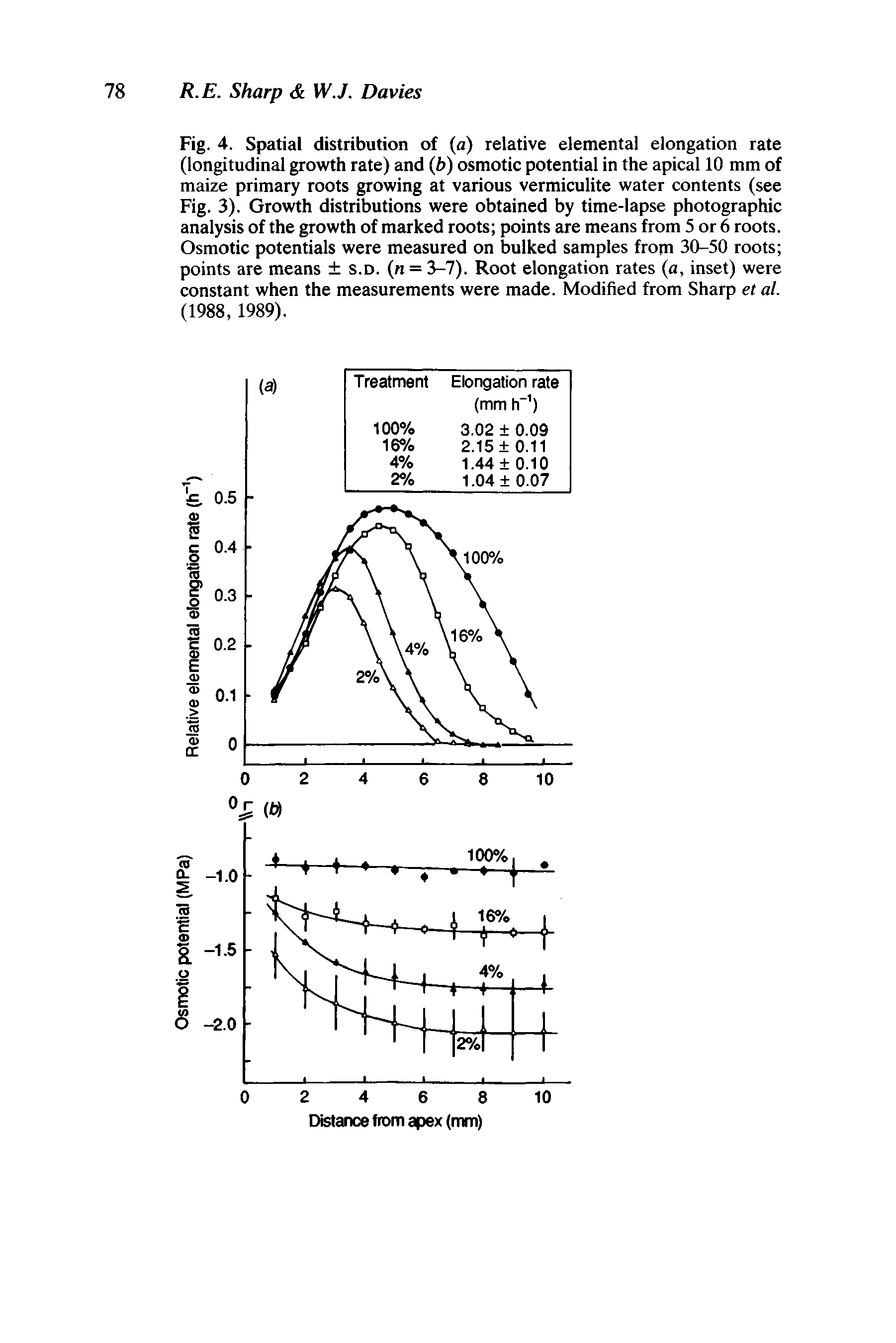 Fig. 4. Spatial distribution of (a) relative elemental elongation rate (longitudinal growth rate) and (p) osmotic potential in the apical 10 mm of maize primary roots growing at various vermiculite water contents (see Fig. 3). Growth distributions were obtained by time-lapse photographic analysis of the growth of marked roots points are means from 5 or 6 roots. Osmotic potentials were measured on bulked samples from 30-50 roots points are means s.d. (n = 3-7). Root elongation rates (a, inset) were constant when the measurements were made. Modified from Sharp et al. (1988, 1989).
