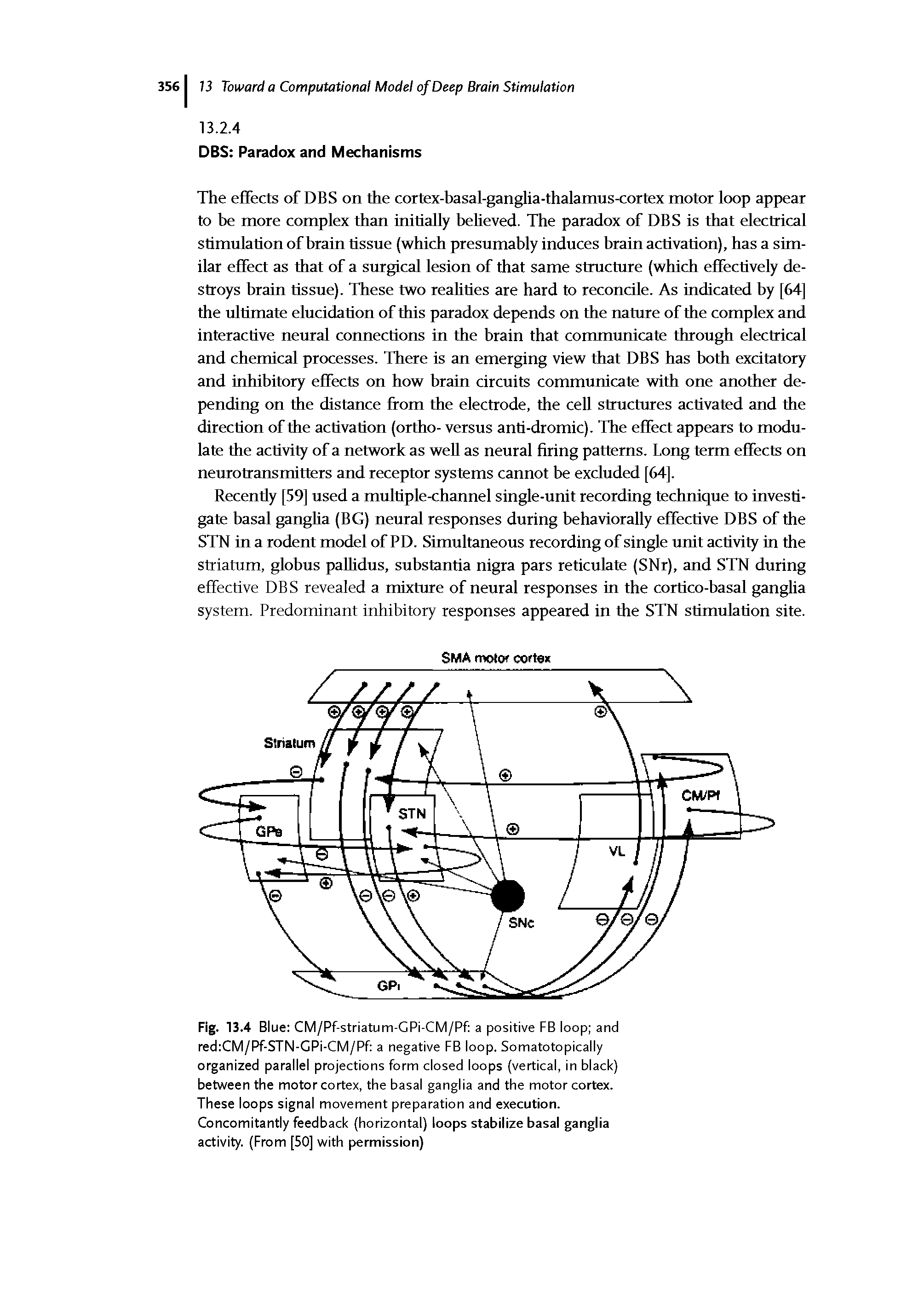 Fig. 13.4 Blue CM/Pf-striatum-GPi-CM/Pf a positive FB loop and red CM/Pf-STN-GPi-CM/Pf a negative FB loop. Somatotopically organized parallel projections form closed loops (vertical, in black) between the motor cortex, the basal ganglia and the motor cortex. These loops signal movement preparation and execution. Concomitantly feedback (horizontal) loops stabilize basal ganglia activity. (From [50] with permission)...