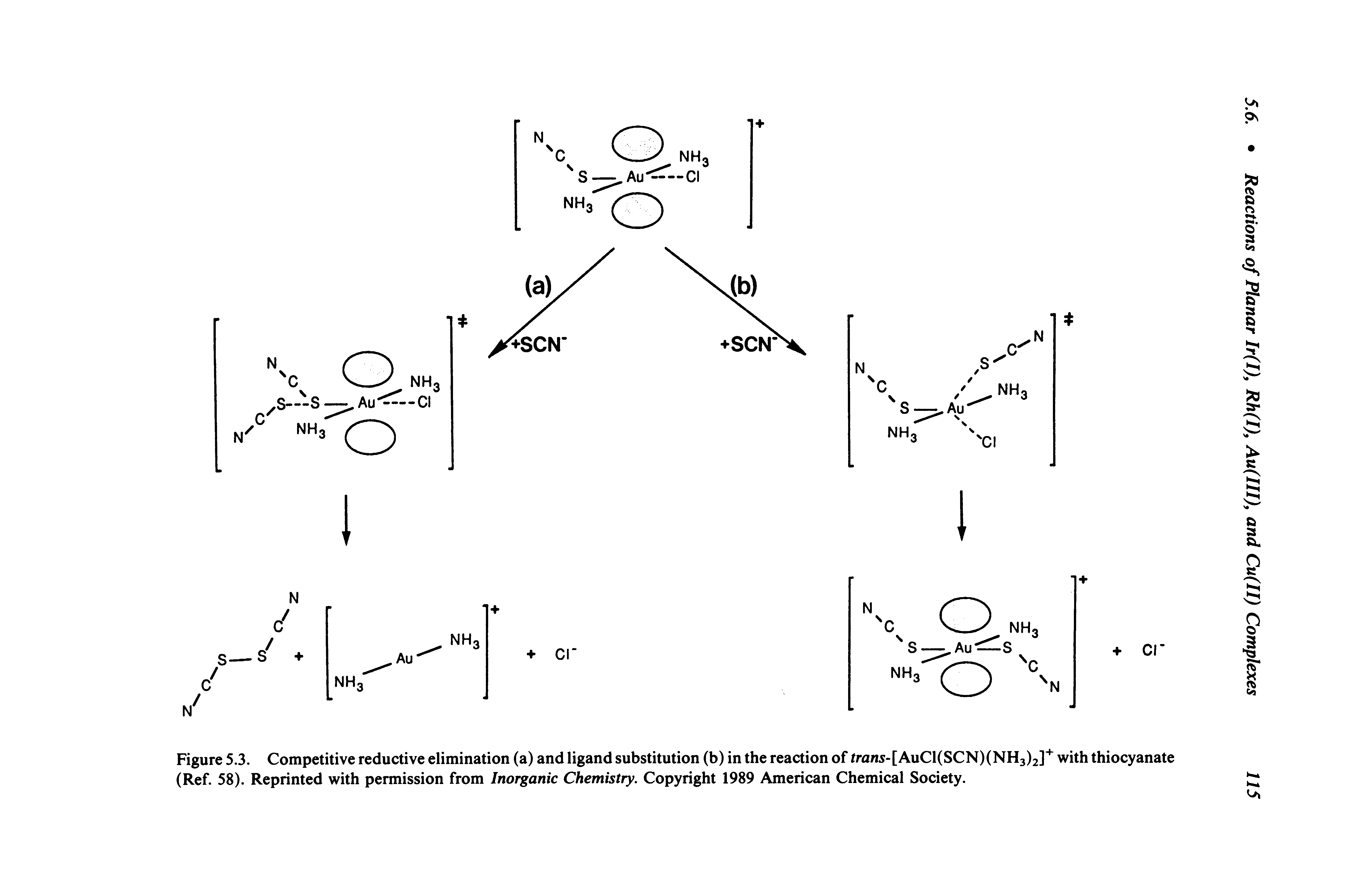 Figure 5.3. Competitive reductive elimination (a) and ligand substitution (b) in the reaction of/ra/i5-[AuCl(SCN)(NH3)2] with thiocyanate (Ref. 58). Reprinted with permission from Inorganic Chemistry. Copyright 1989 American Chemical Society.