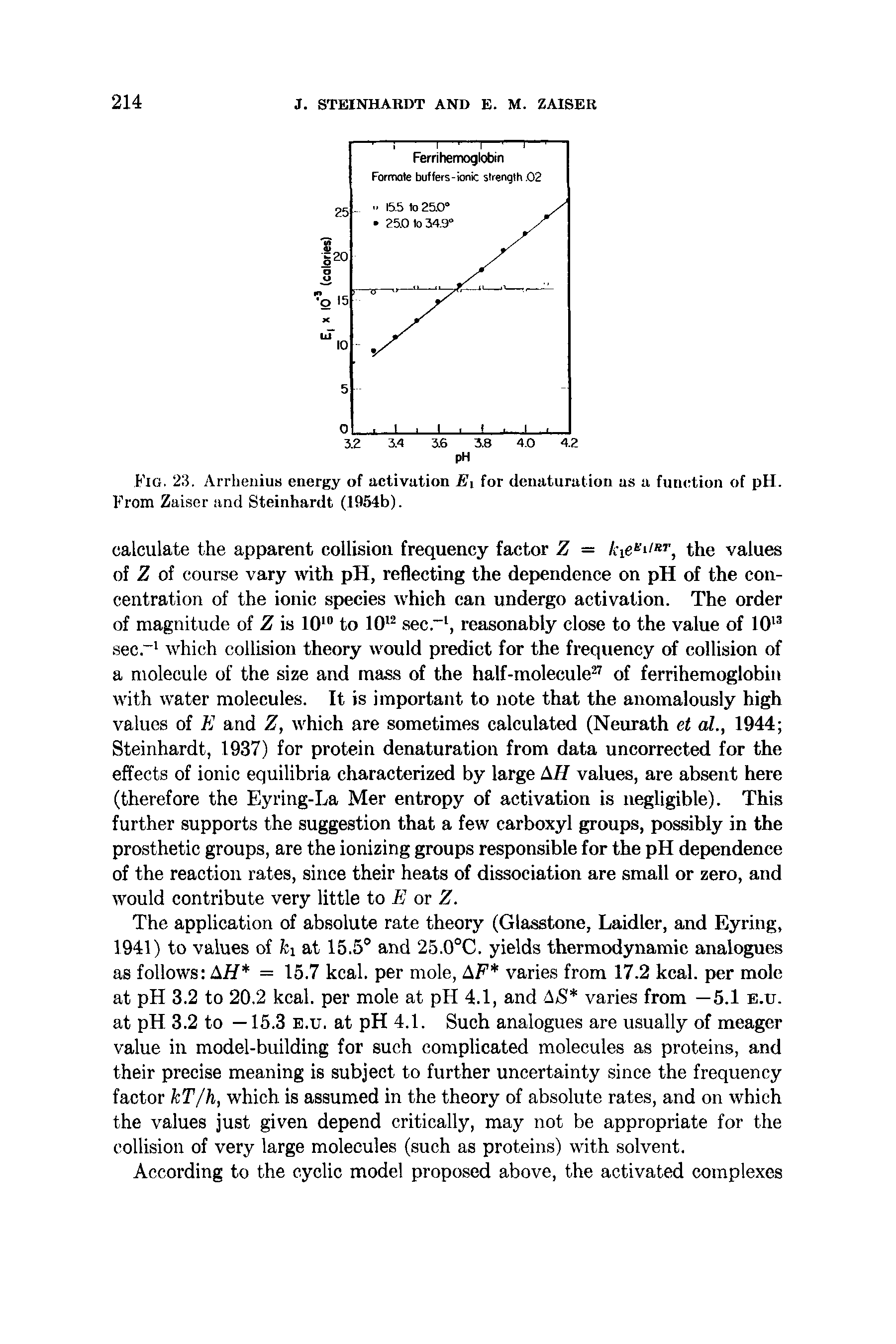 Fig. 23. Arrhenius energy of nctivution Ei for denaturation as a function of pH. From Zaisor and Steinhardt (1954b).