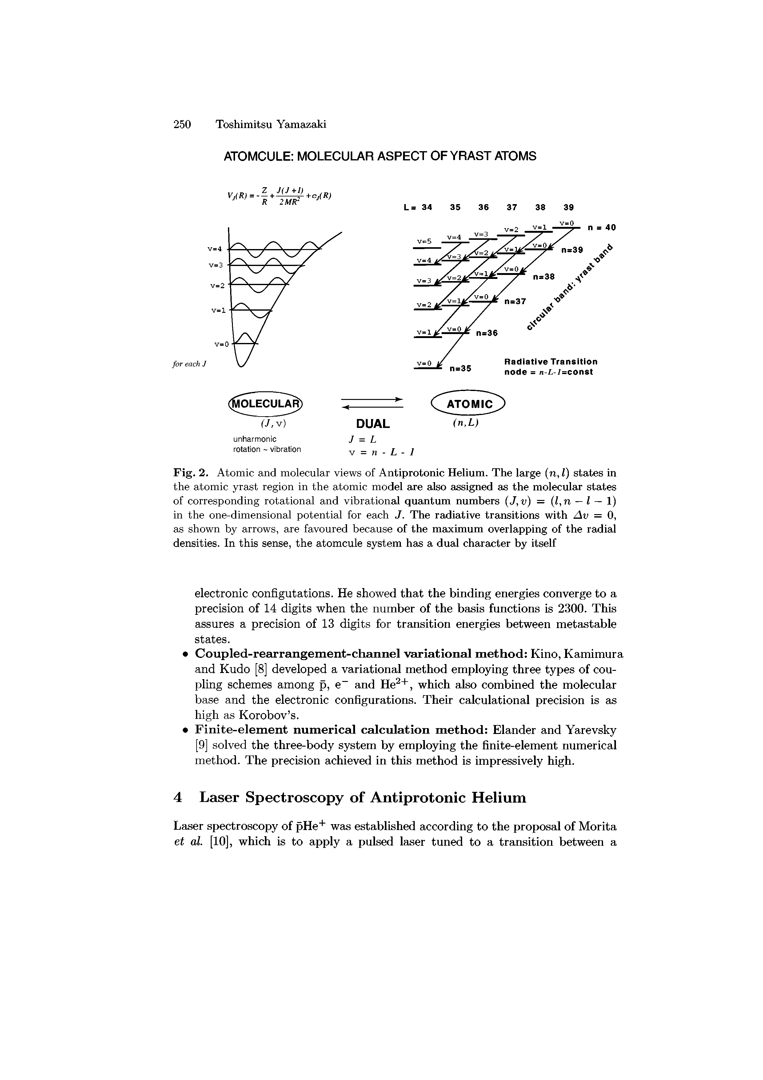 Fig. 2. Atomic and molecular views of Antiprotonic Helium. The large (n, l) states in the atomic yrast region in the atomic model axe also assigned as the molecular states of corresponding rotational and vibrational quantum numbers (J,v) = (l,n — l — 1) in the one-dimensional potential for each J. The radiative transitions with Av = 0, as shown by arrows, are favoured because of the maximum overlapping of the radial densities. In this sense, the atomcule system has a dual character by itself...