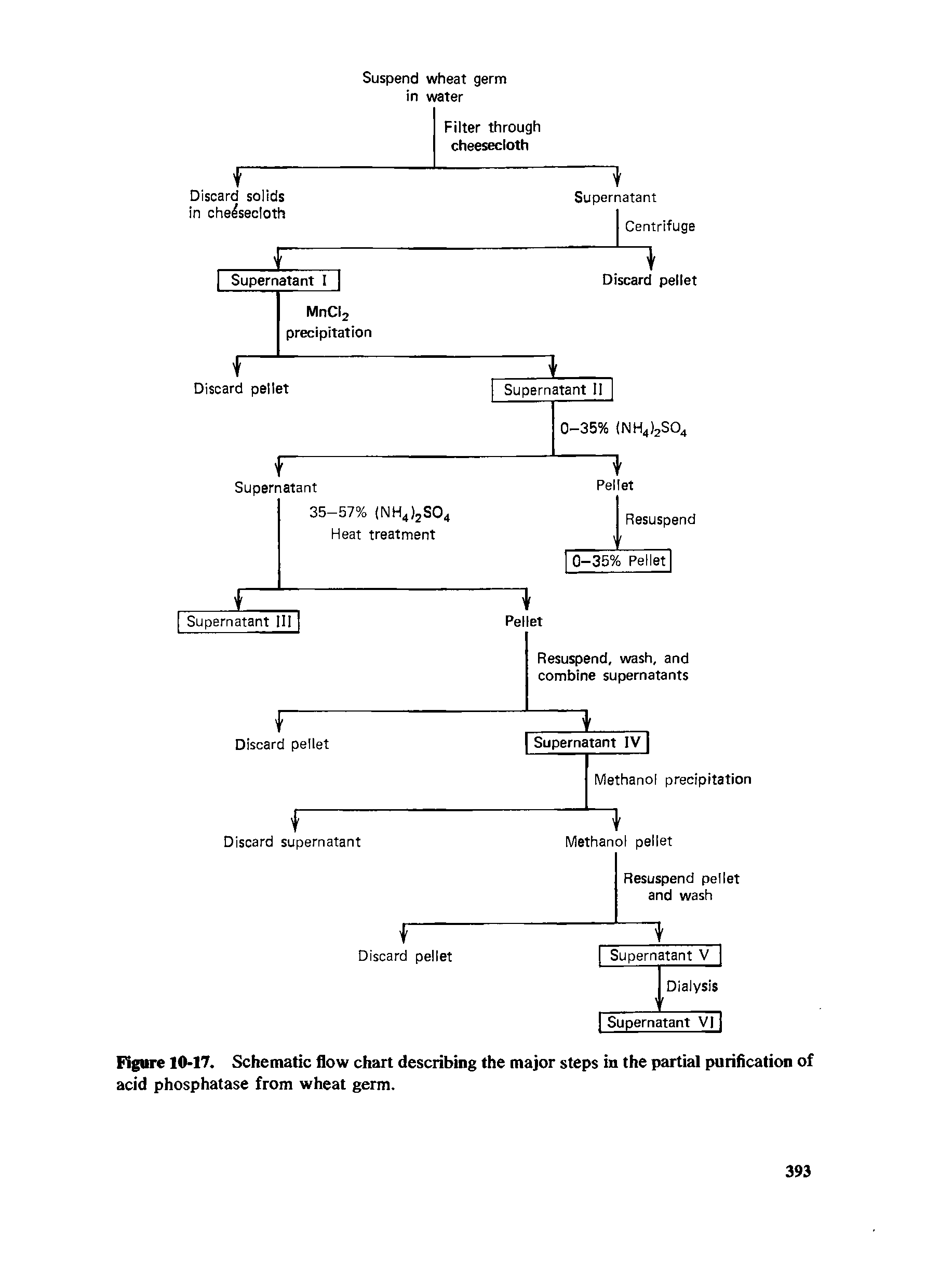 Figure 10-17. Schematic flow chart describing the major steps in the partial purification of acid phosphatase from wheat germ.