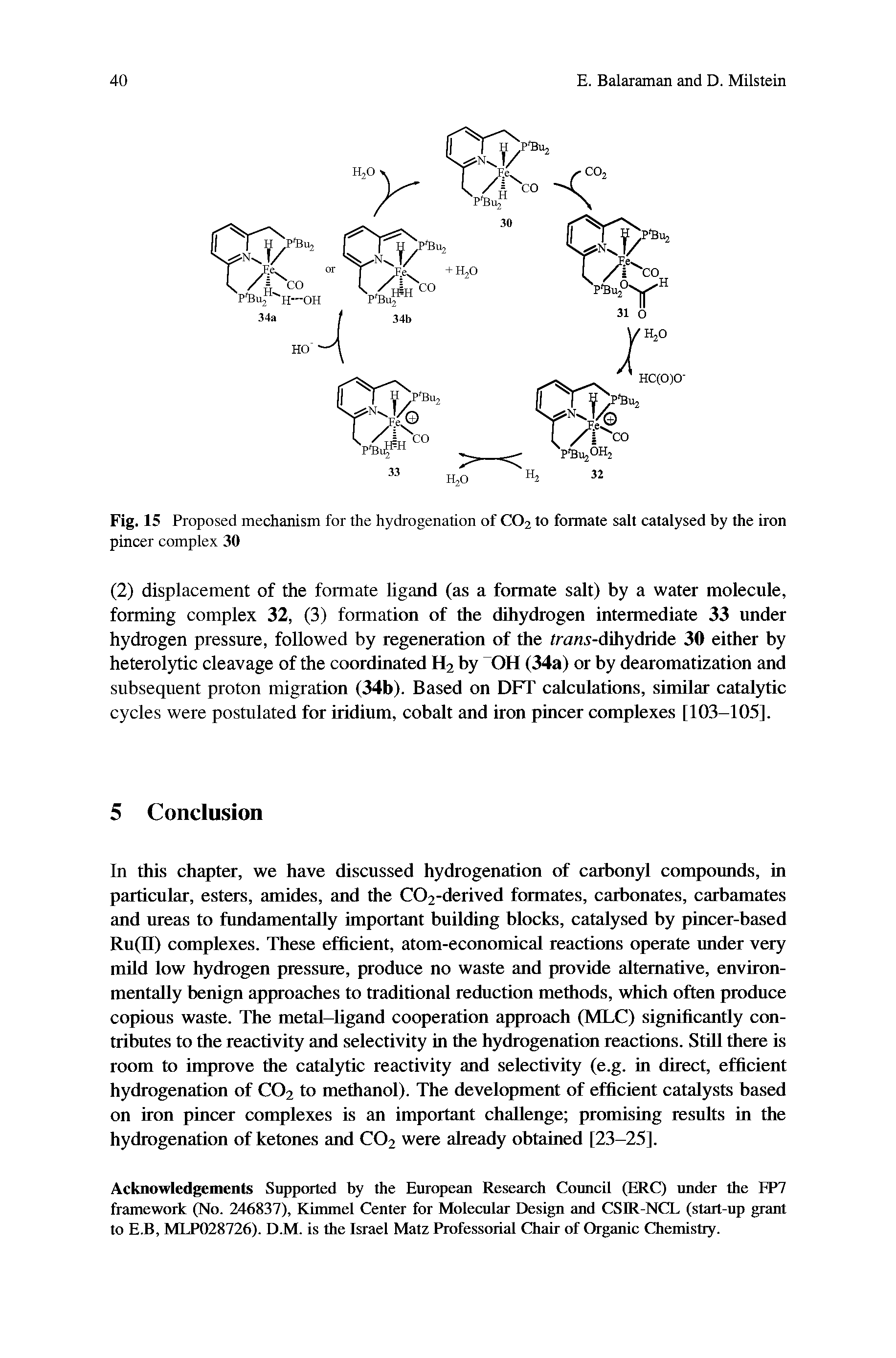 Fig. 15 Proposed mechanism for the hydrogenation of CO2 to formate salt catalysed by the iron pincer complex 30...
