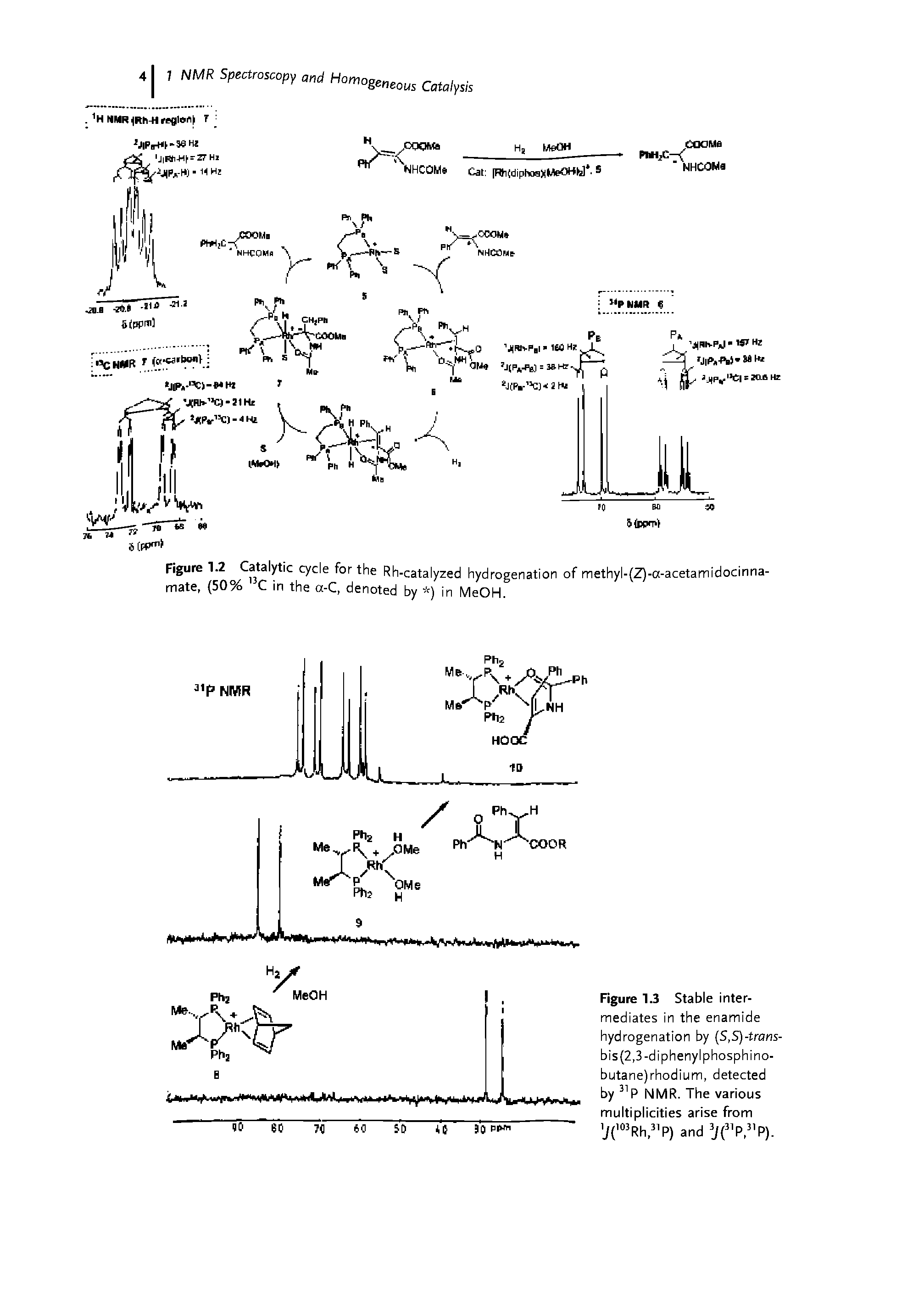 Figure 1.3 Stable intermediates in the enamide hydrogenation by (S,S)-trans-bis(2,3-diphenylphosphino-butane)rhodium, detected by P NMR. The various multiplicities arise from j Rh, P) and J( P, P).
