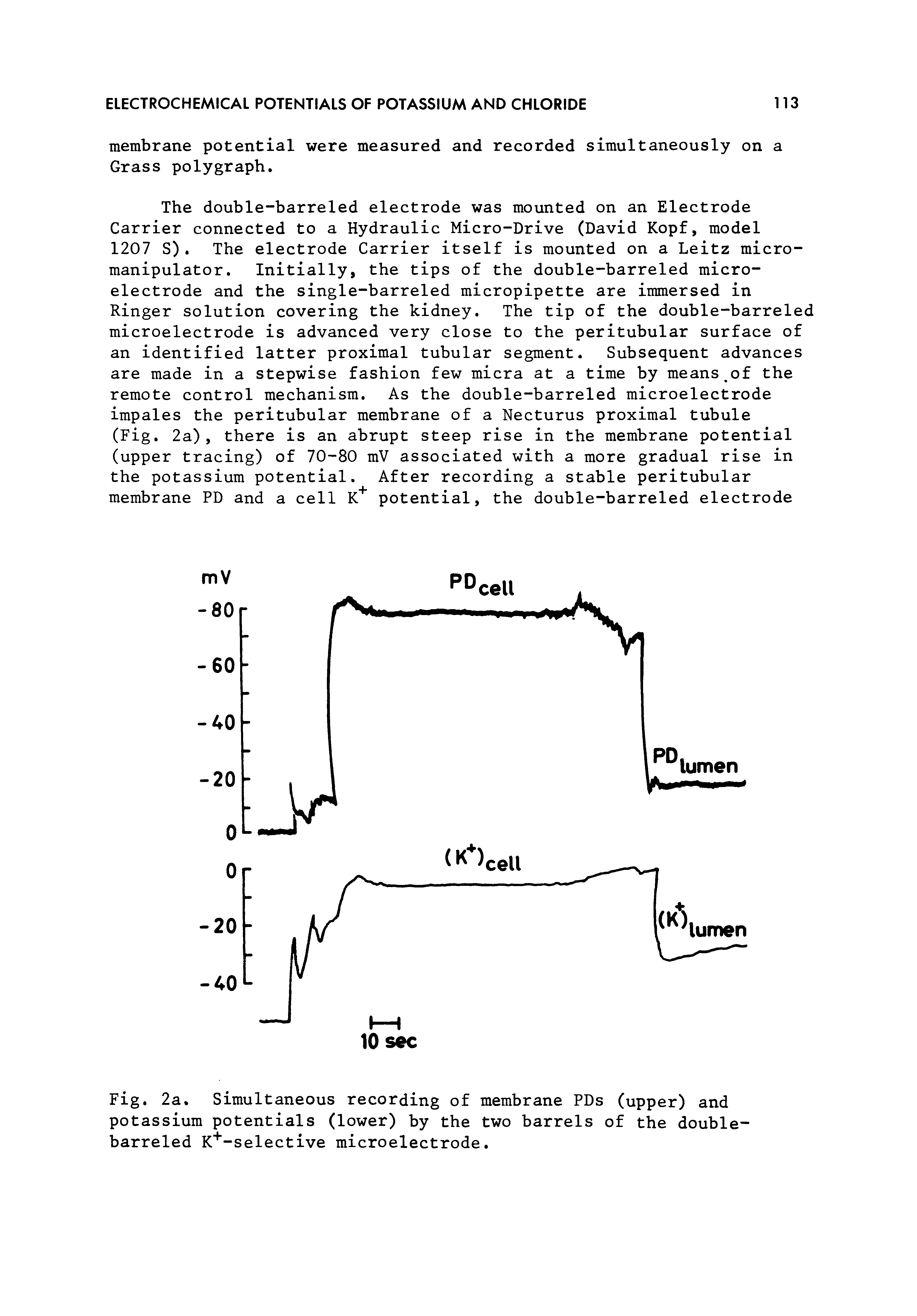 Fig. 2a. Simultaneous recording of membrane PDs (upper) and potassium potentials (lower) by the two barrels of the double-barreled K -selective microelectrode.