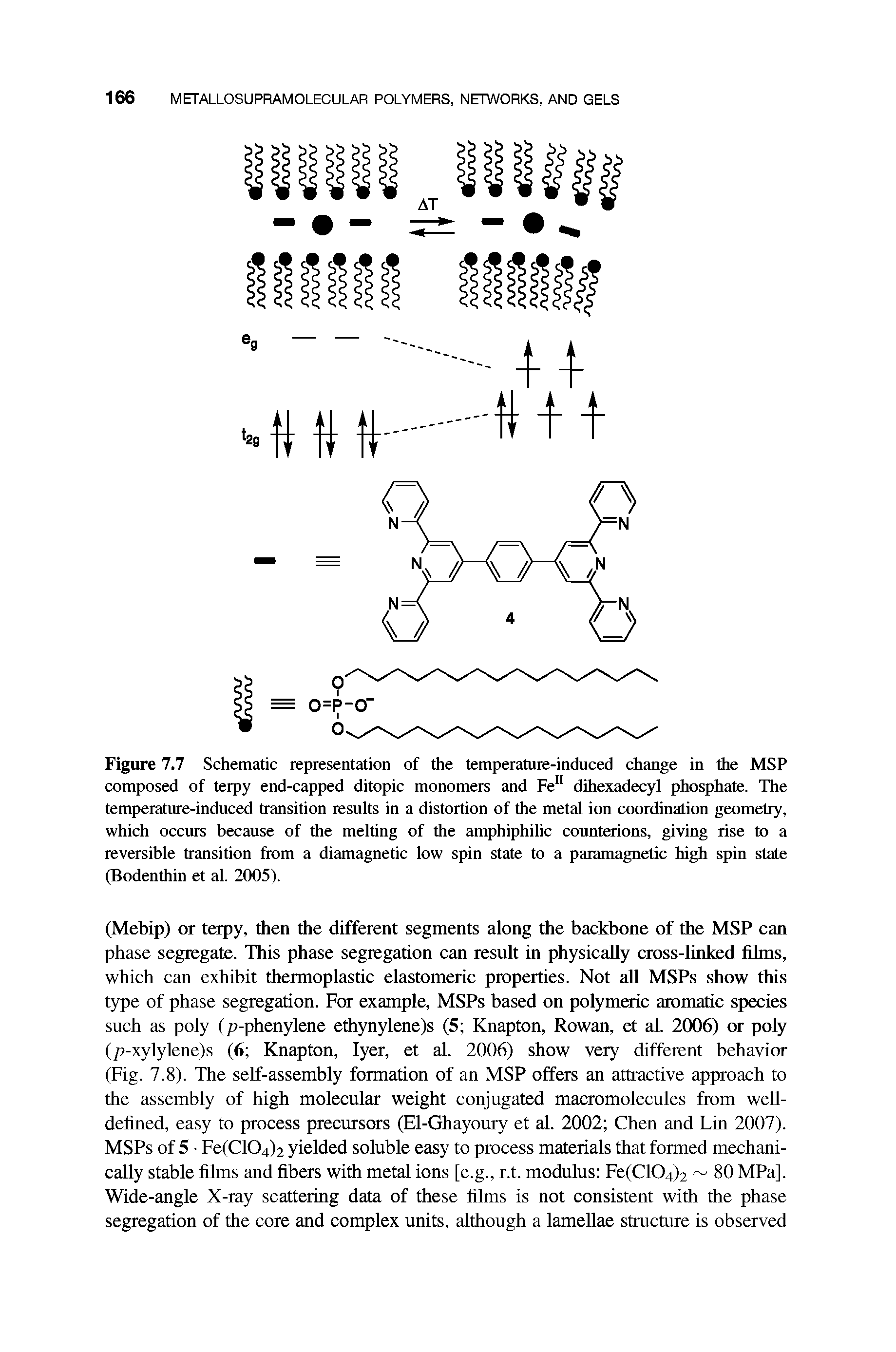 Figure 7.7 Schematic representation of the temperature-induced change in the MSP composed of terpy end-capped ditopic monomers and Fe dihexadecyl phosphate. The temperature-induced transition resuits in a distortion of the metal ion coordination geometry, which occurs because of the melting of the amphiphilic counterions, giving rise to a reversible transition from a diamagnetic low spin state to a paramagnetic high spin state (Bodenthin et al. 2005).