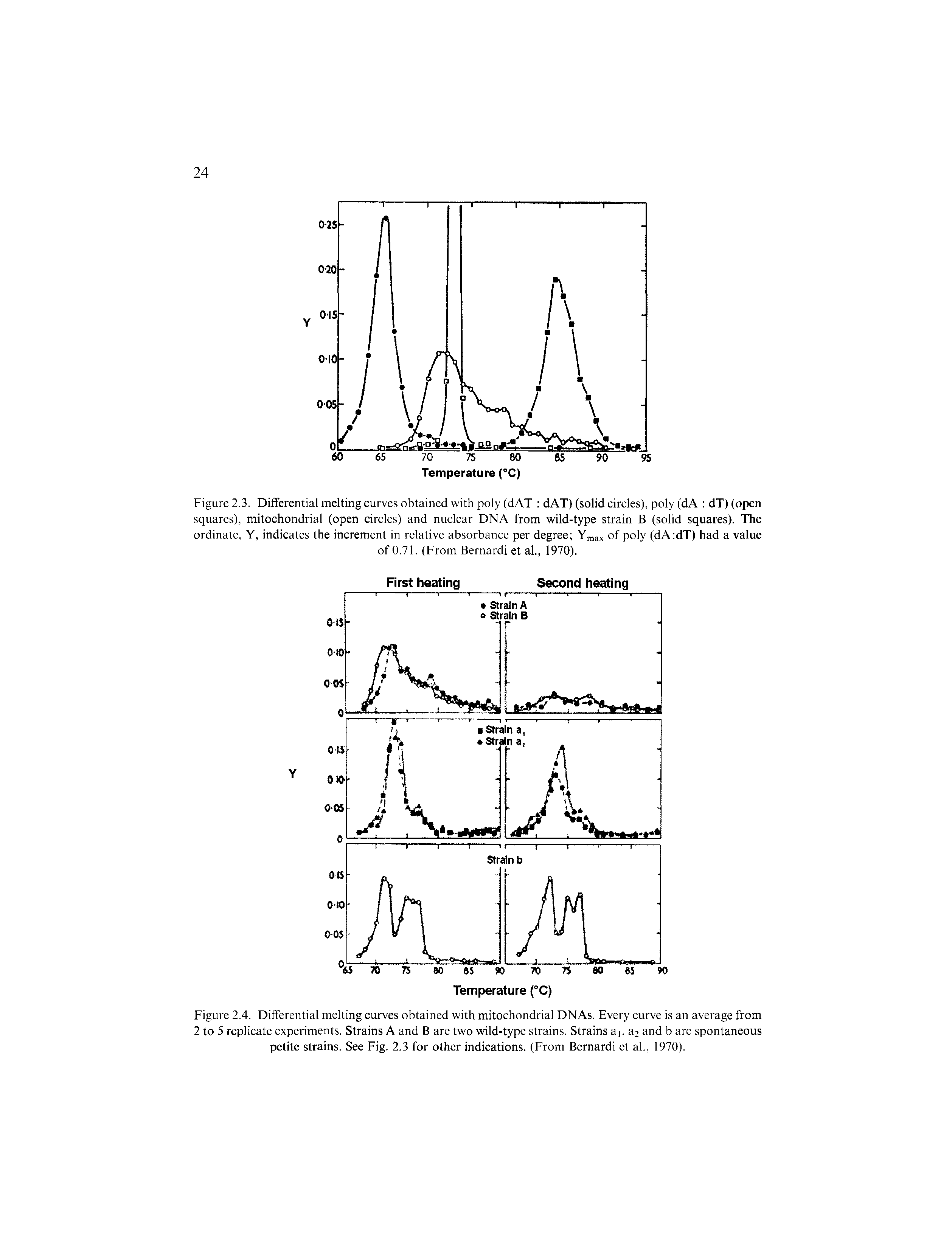 Figure 2.4. Differential melting curves obtained with mitochondrial DNAs. Every curve is an average from 2 to 5 replicate experiments. Strains A and B are two wild-type strains. Strains ai, a2 and b are spontaneous petite strains. See Fig. 2.3 for other indications. (From Bernardi et al., 1970).