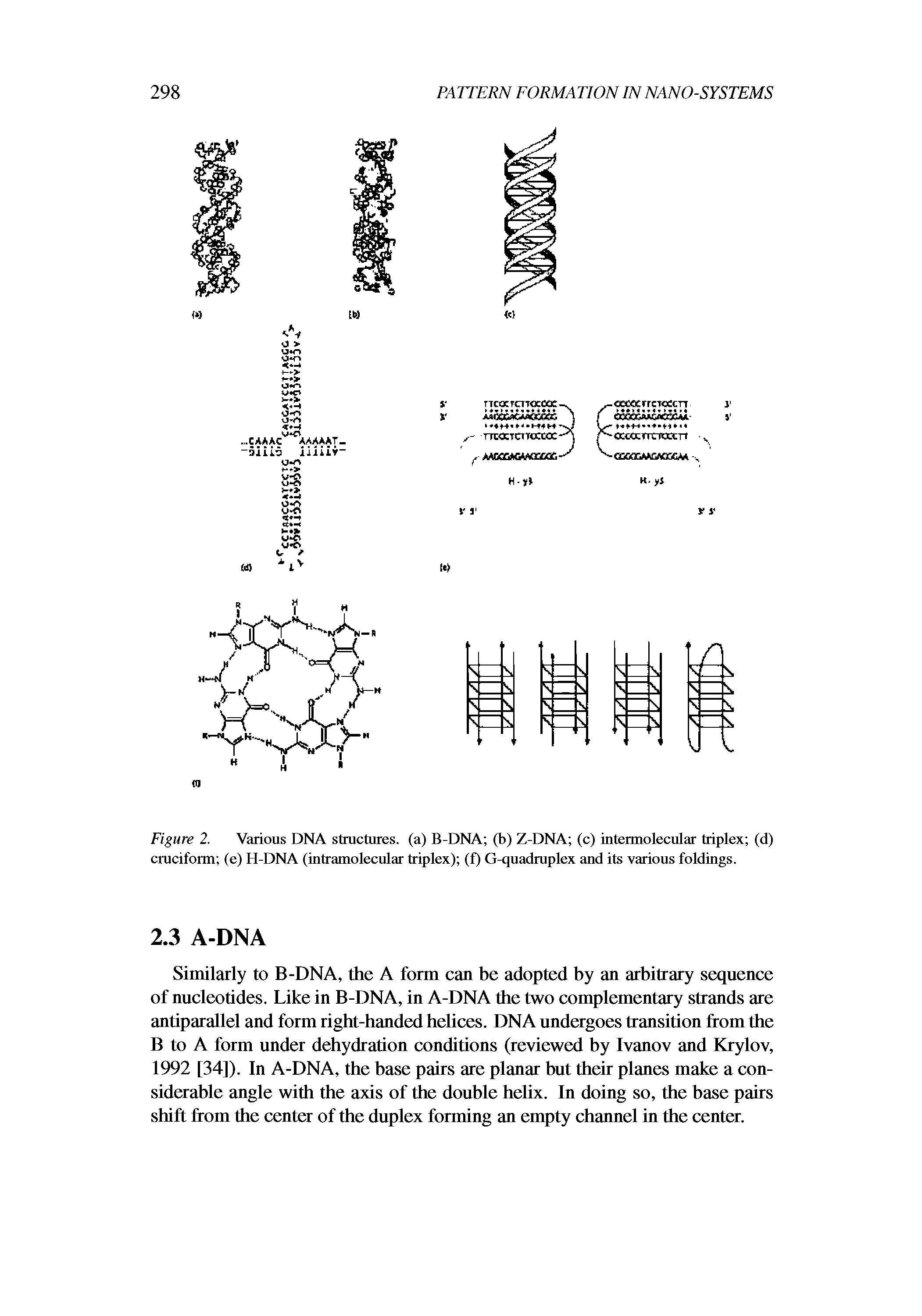 Figure 2. Various DNA structures, (a) B-DNA (b) Z-DNA (c) intennolecular triplex (d) cruciform (e) H-DNA (intramolecular triplex) (f) G-quadruplex and its various foldings.