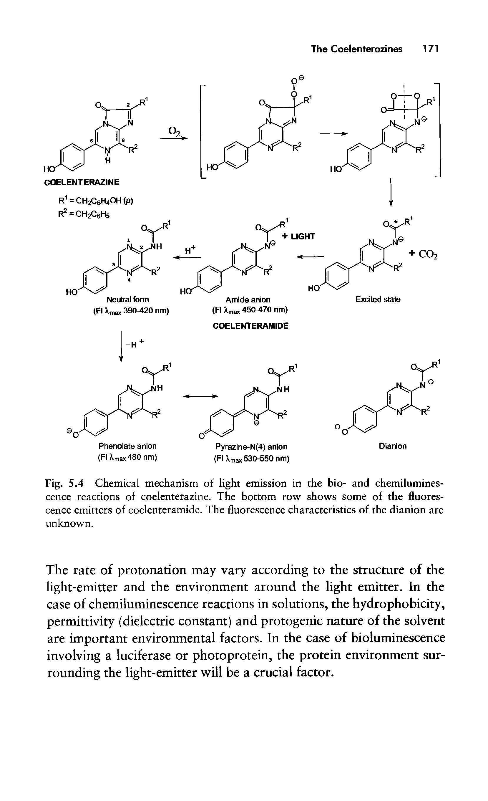 Fig. 5.4 Chemical mechanism of light emission in the bio- and chemiluminescence reactions of coelenterazine. The bottom row shows some of the fluorescence emitters of coelenteramide. The fluorescence characteristics of the dianion are unknown.