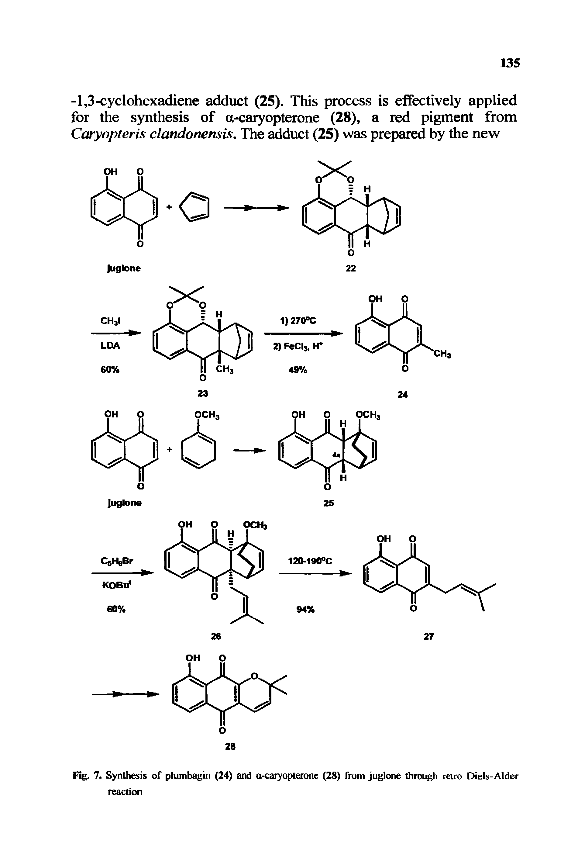 Fig. 7. Synthesis of plumbagin (24) and a-caryopterone (28) from juglone through retro Diels-Alder reaction...