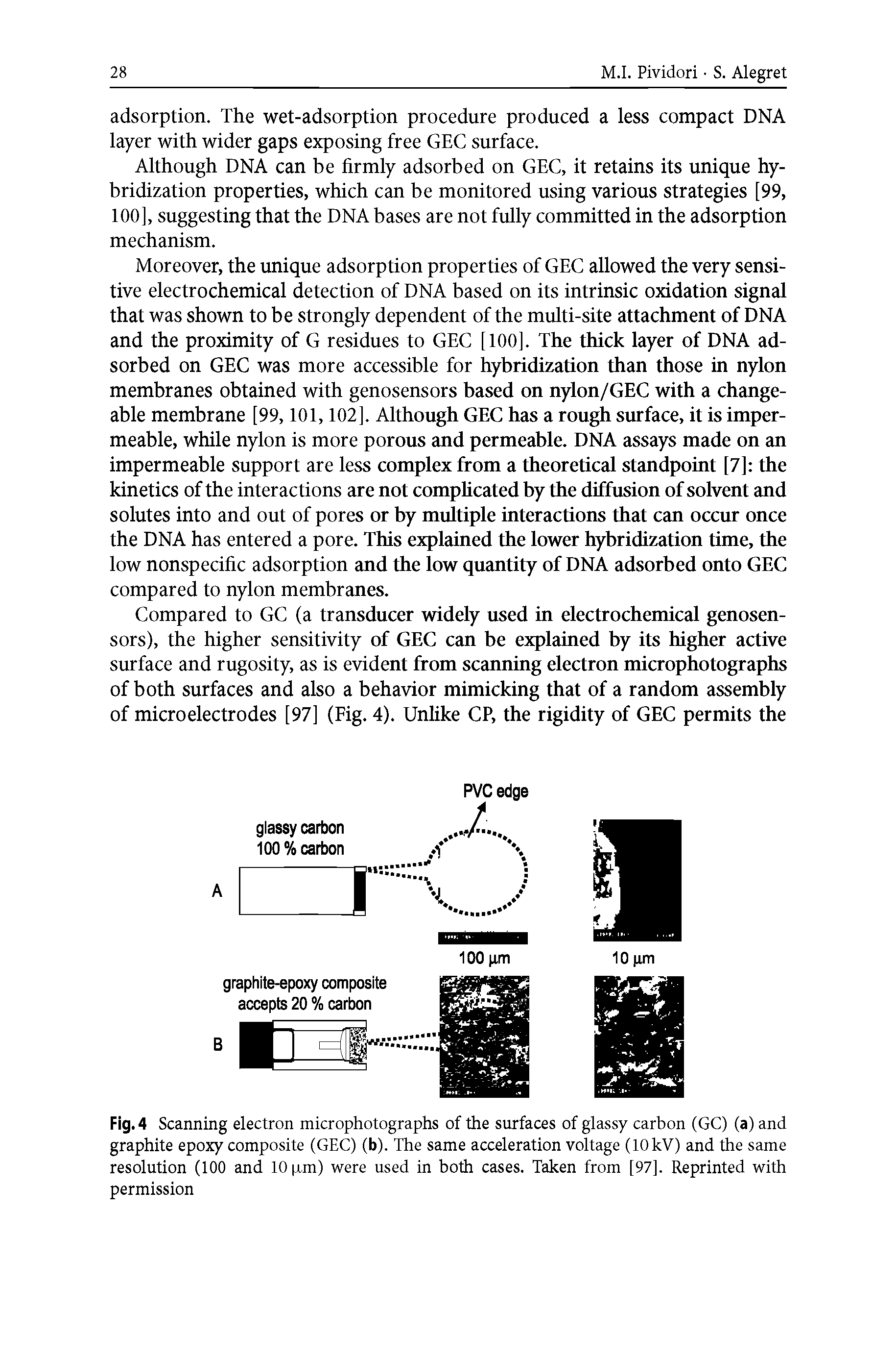 Fig. 4 Scanning electron microphotographs of the surfaces of glassy carbon (GC) (a) and graphite epoxy composite (GEC) (b). The same acceleration voltage (10 kV) and the same resolution (100 and 10p.m) were used in both cases. Taken from [97]. Reprinted with permission...