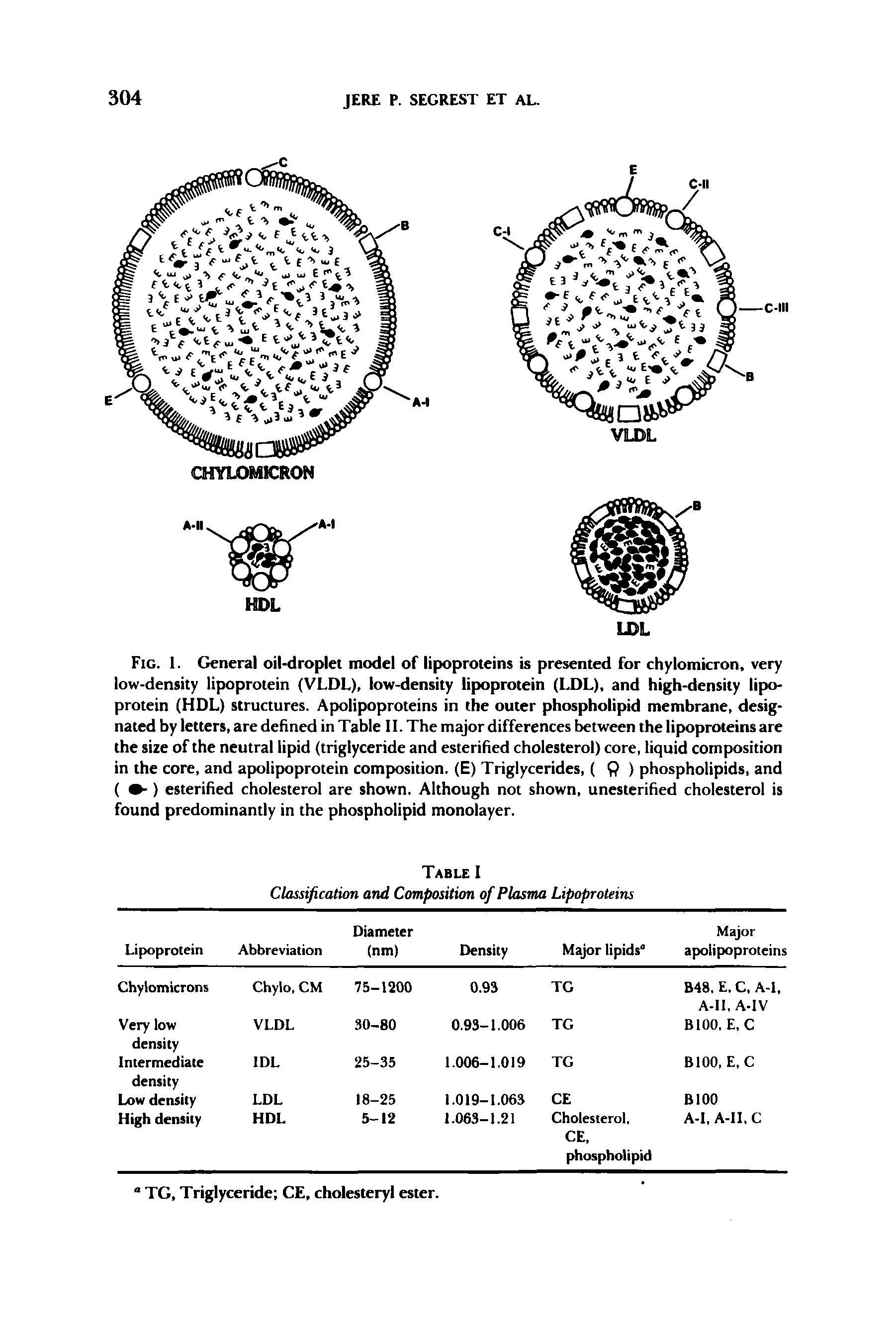 Fig. 1. General oil-droplet model of lipoproteins is presented for chylomicron, very low-density lipoprotein (VLDL), low-density lipoprotein (LDL), and high-density lipoprotein (HDL) structures. Apolipoproteins in the outer phospholipid membrane, designated by letters, are defined in Table II. The major differences between the lipoproteins are the size of the neutral lipid (triglyceride and esterified cholesterol) core, liquid composition in the core, and apolipoprotein composition. (E) Triglycerides, ( Q ) phospholipids, and ( -) esterified cholesterol are shown. Although not shown, unesterified cholesterol is found predominantly in the phospholipid monolayer.