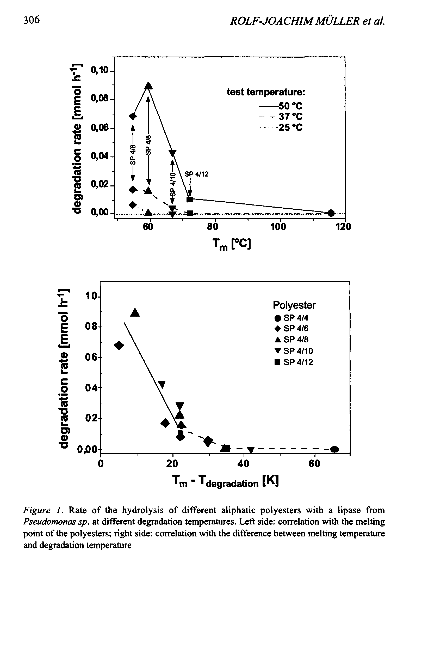 Figure 1. Rate of the hydrolysis of different aliphatic polyesters with a lipase from Pseudomonas sp. at different degradation temperatures. Left side correlation with the melting point of the polyesters right side correlation with the difference between melting temperature and degradation temperature...