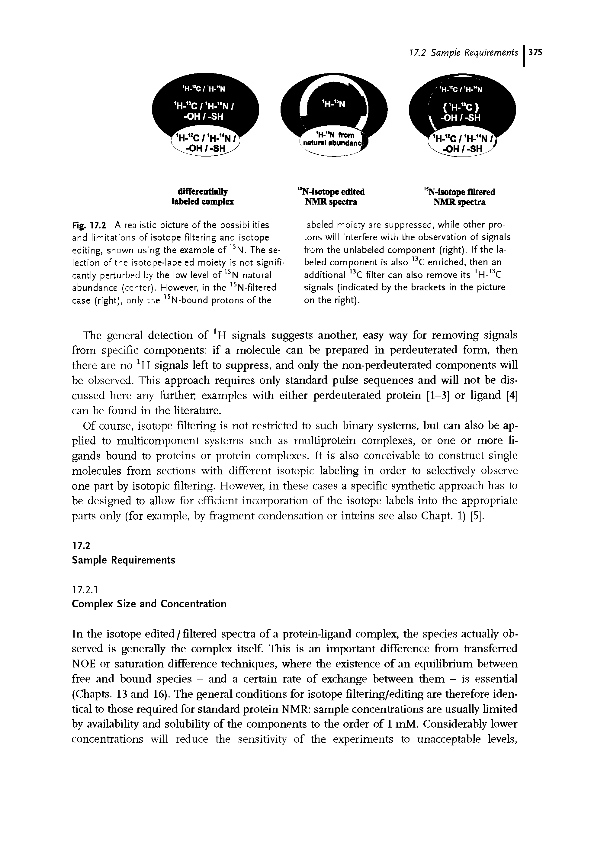 Fig. 17.2 A realistic picture of the possibilities and limitations of isotope filtering and isotope editing, shown using the example of 15N. The selection of the isotope-labeled moiety is not significantly perturbed by the low level of 15N natural abundance (center). However, in the 15N-filtered case (right), only the 15N-bound protons of the...