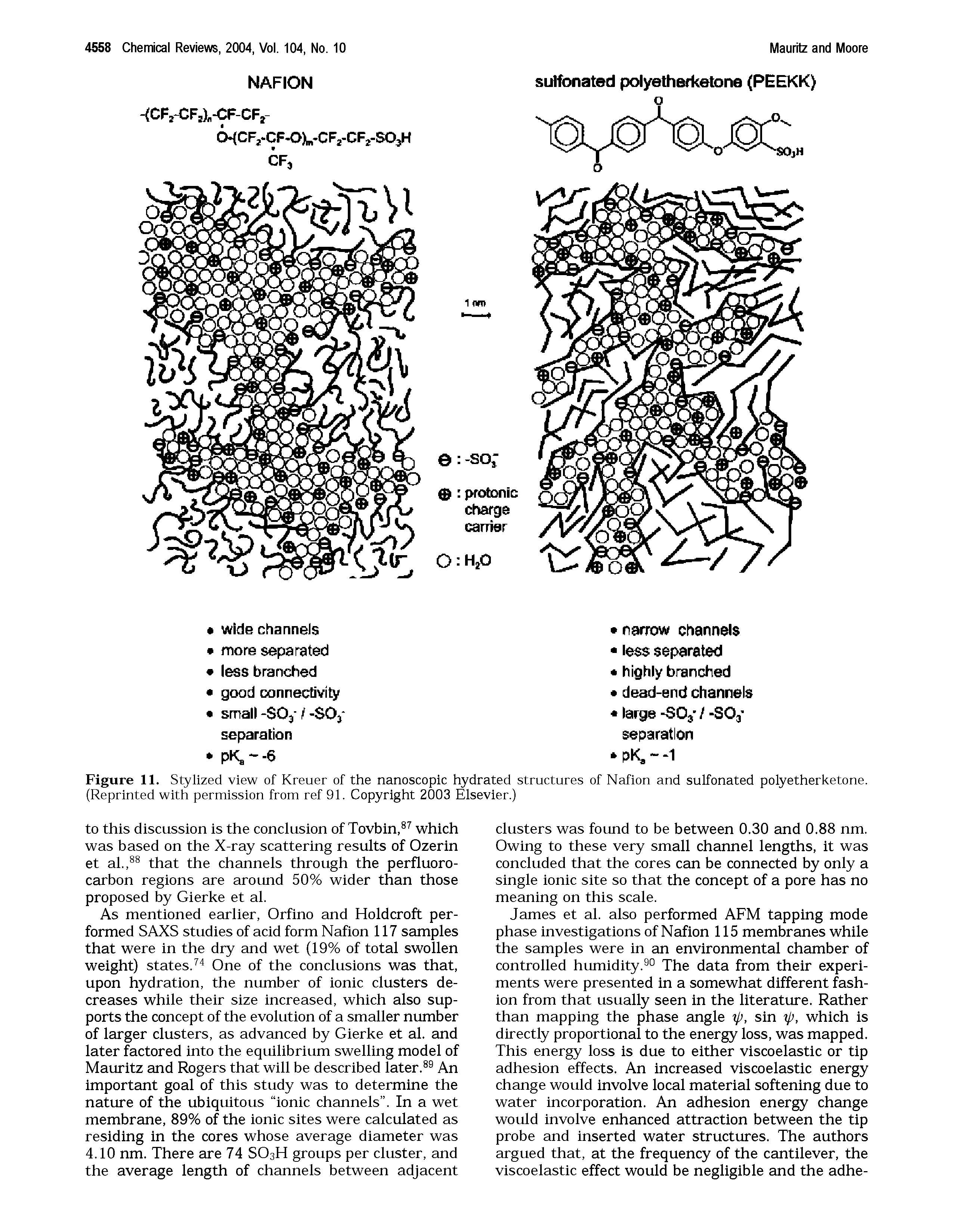 Figure 11. Stylized view of Kreuer of the nanoscopic hydrated structures of Nafion and sulfonated polyetherketone. (Reprinted with permission from ref 91. Copyright 2003 Elsevier.)...