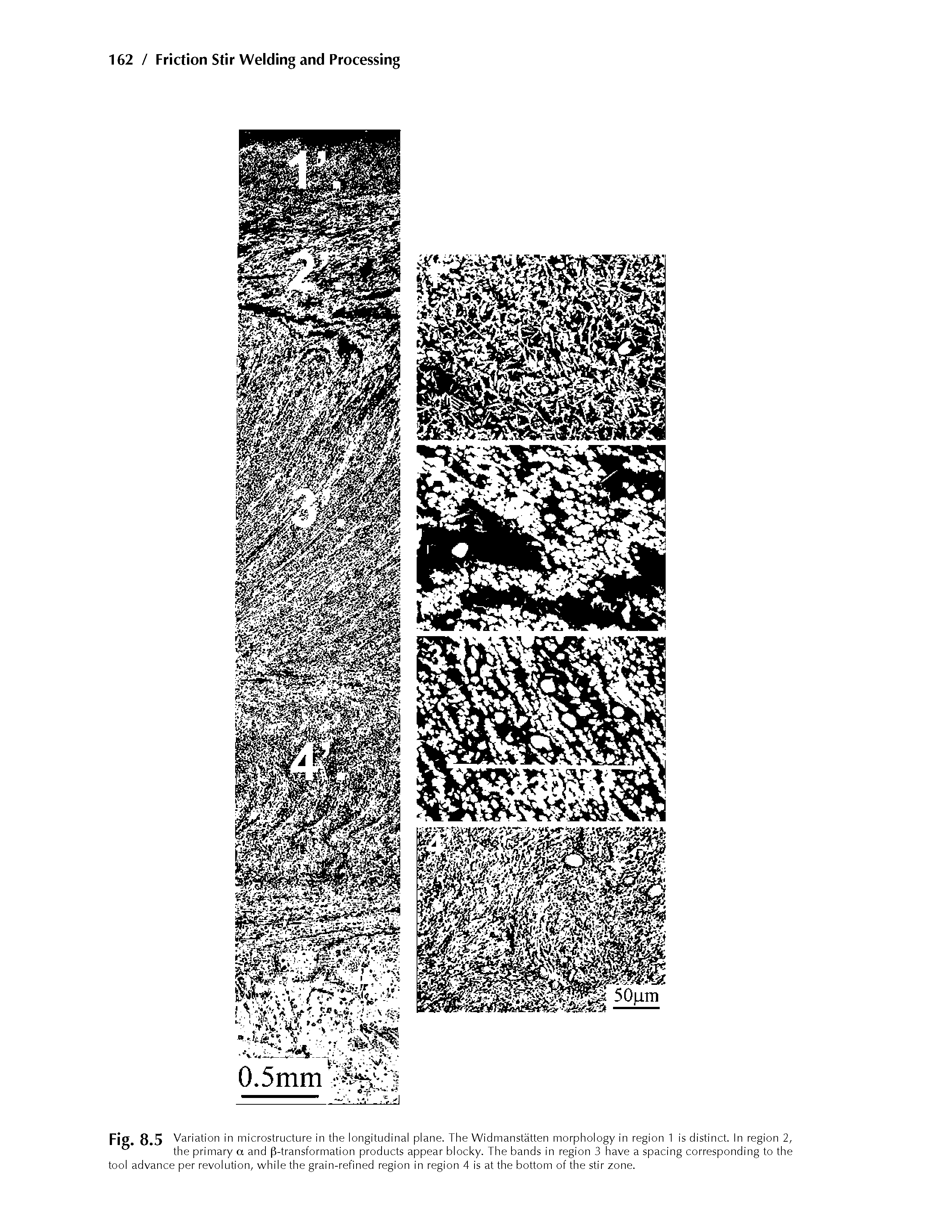 Fig. 8.5 Variation in microstructure in the longitudinal plane. The Widmanstatten morphology in region 1 is distinct. In region 2, the primary a and -transformation products appear blocky. The bands in region 3 have a spacing corresponding to the tool advance per revolution, while the grain-refined region in region 4 is at the bottom of the stir zone.