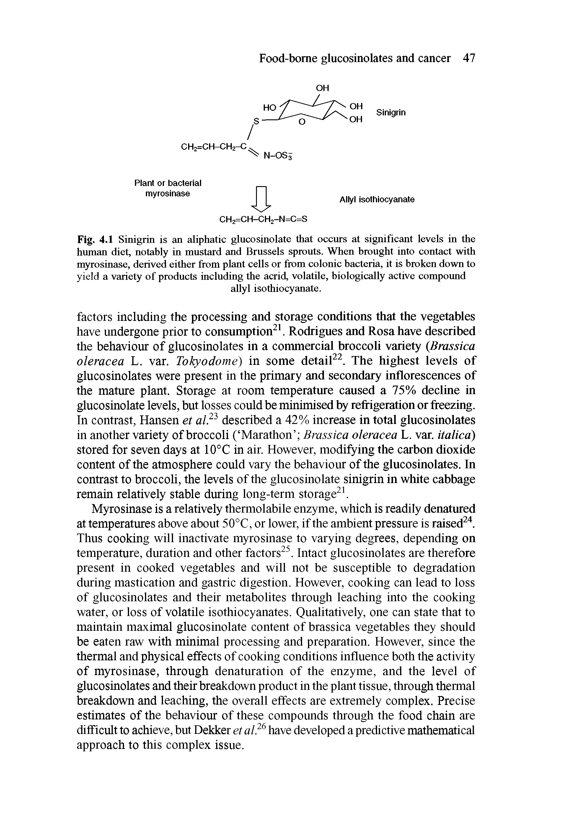 Fig. 4.1 Sinigrin is an aliphatic glucosinolate that occurs at significant levels in the human diet, notably in mustard and Brussels sprouts. When brought into contact with myrosinase, derived either from plant cells or from colonic bacteria, it is broken down to yield a variety of products including the acrid, volatile, biologically active compoimd...