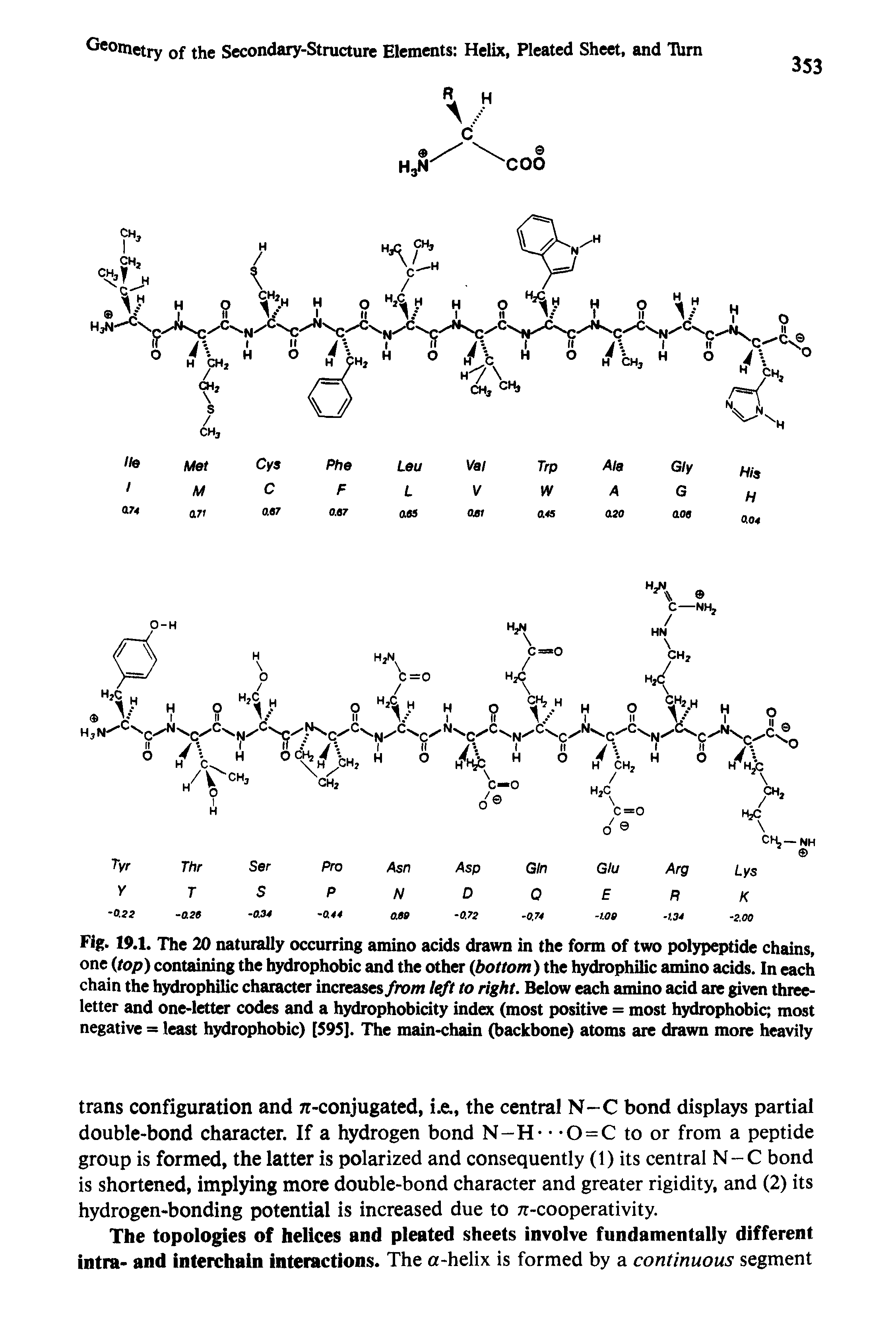 Fig. 19.1. The 20 naturally occurring amino acids drawn in the form of two polypeptide chains, one (top) containing the hydrophobic and the other (bottom) the hydrophilic amino acids. In each chain the hydrophilic character increases from left to right. Below each amino acid are given three-letter and one-letter codes and a hydrophobicity index (most positive = most hydrophobic most negative = least hydrophobic) [595]. The main-chain (backbone) atoms are drawn more heavily...