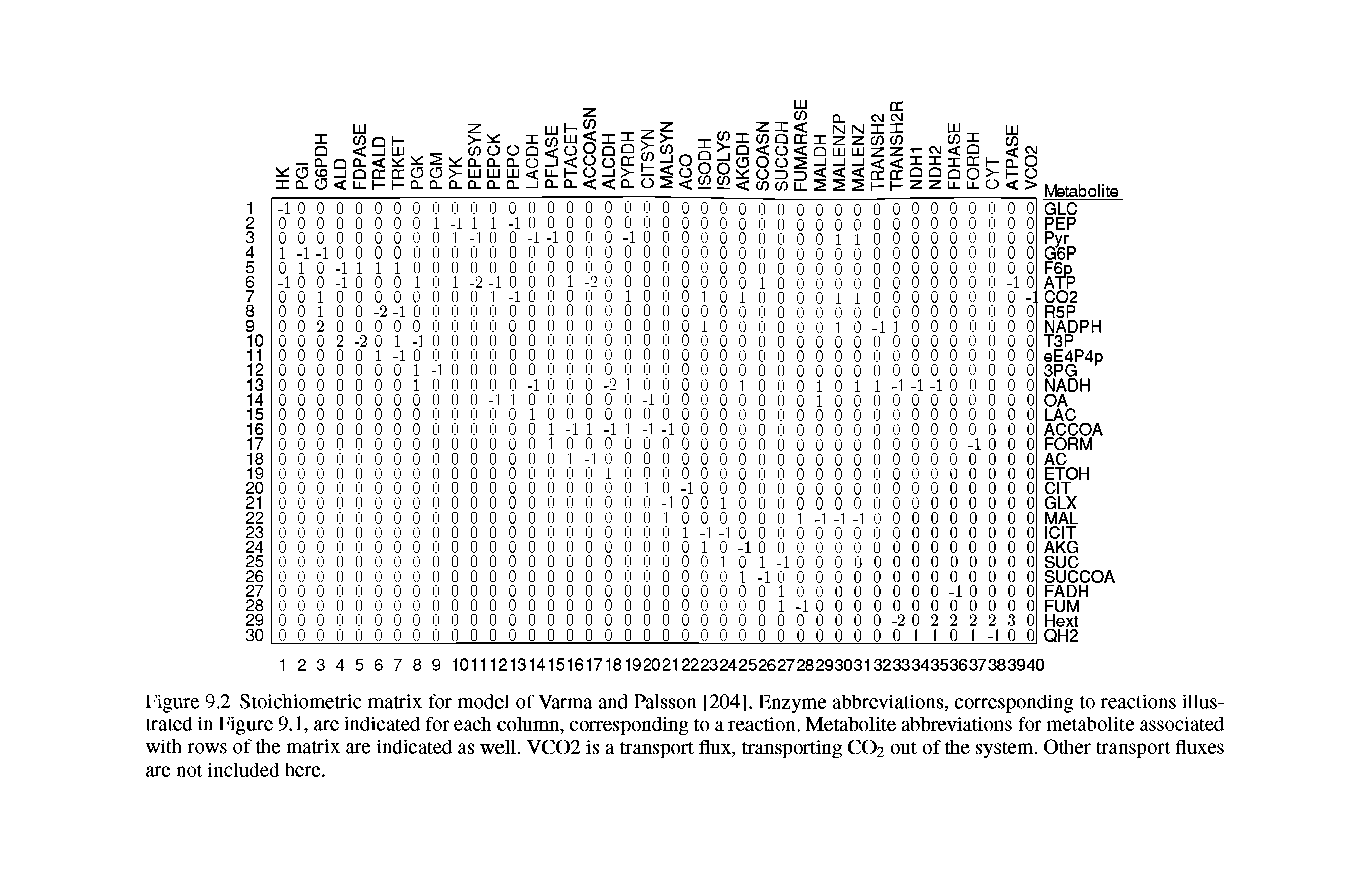 Figure 9.2 Stoichiometric matrix for model of Varma and Palsson [204], Enzyme abbreviations, corresponding to reactions illustrated in Figure 9.1, are indicated for each column, corresponding to a reaction. Metabolite abbreviations for metabolite associated with rows of the matrix are indicated as well. VC02 is a transport flux, transporting CO2 out of the system. Other transport fluxes are not included here.
