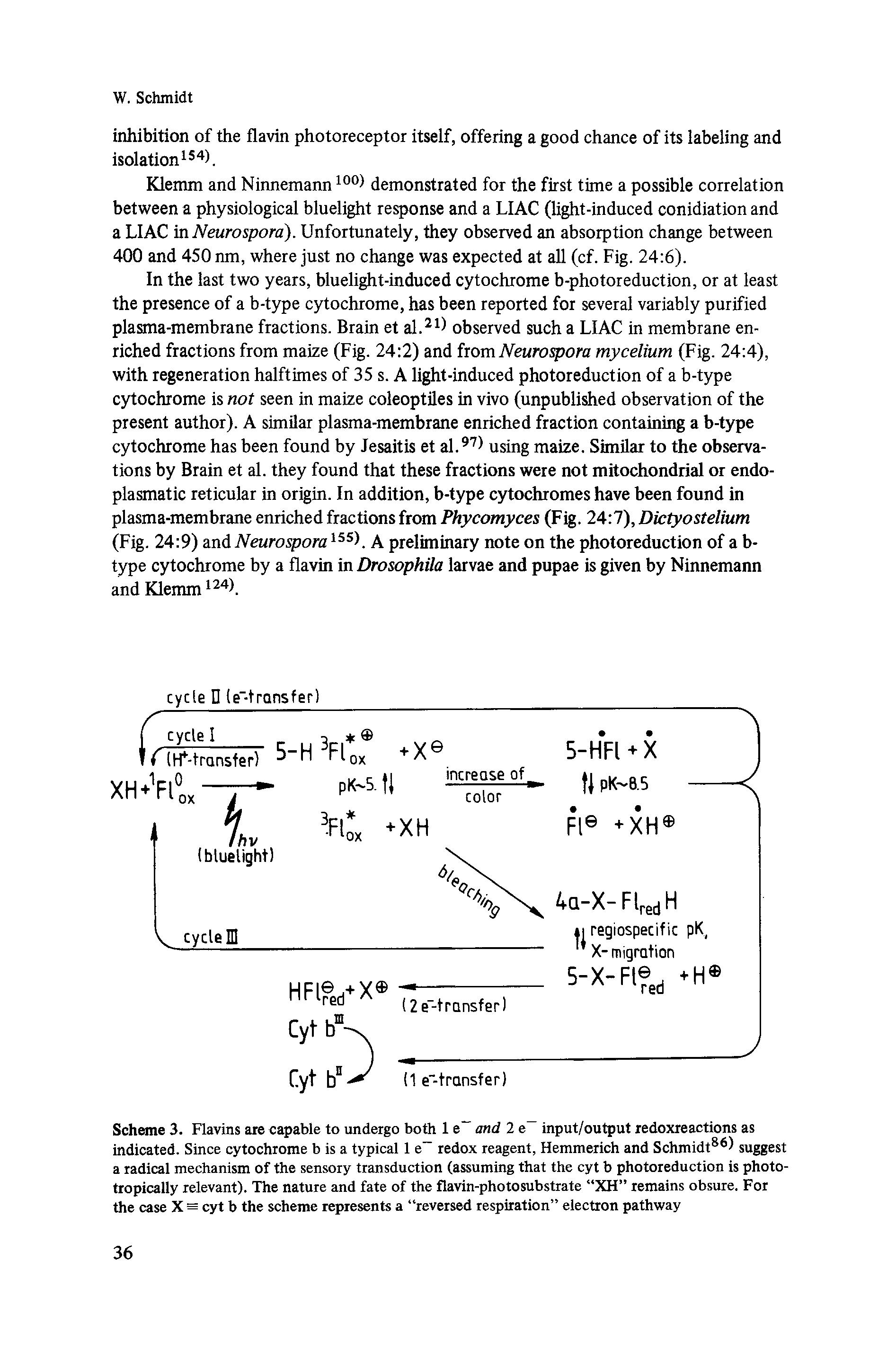 Scheme 3. Flavins are capable to undergo both 1 e and 2 e input/output redoxreactions as indicated. Since cytochrome b is a typical 1 e redox reagent, Hemmerich and Schmidt86) suggest a radical mechanism of the sensory transduction (assuming that the cyt b photoreduction is photo-tropically relevant). The nature and fate of the flavin-photosubstrate XH remains obsure. For the case X = cyt b the scheme represents a reversed respiration electron pathway...