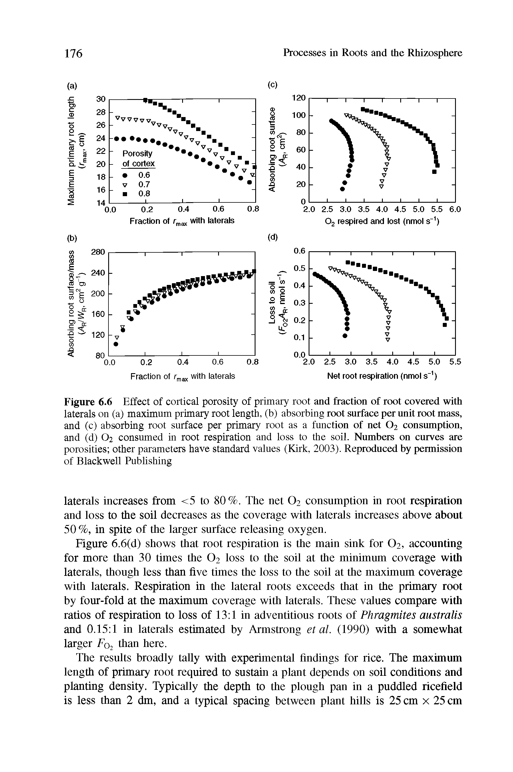 Figure 6.6 Effect of cortical porosity of primary root and fraction of root covered with laterals on (a) maximum primary root length, (b) absorbing root surface per unit root mass, and (c) absorbing root surface per primary root as a function of net O2 consumption, and (d) O2 consumed in root respiration and loss to the soil. Numbers on curves are porosities other parameters have standard values (Kirk, 2003). Reproduced by permission of Blackwell Publishing...