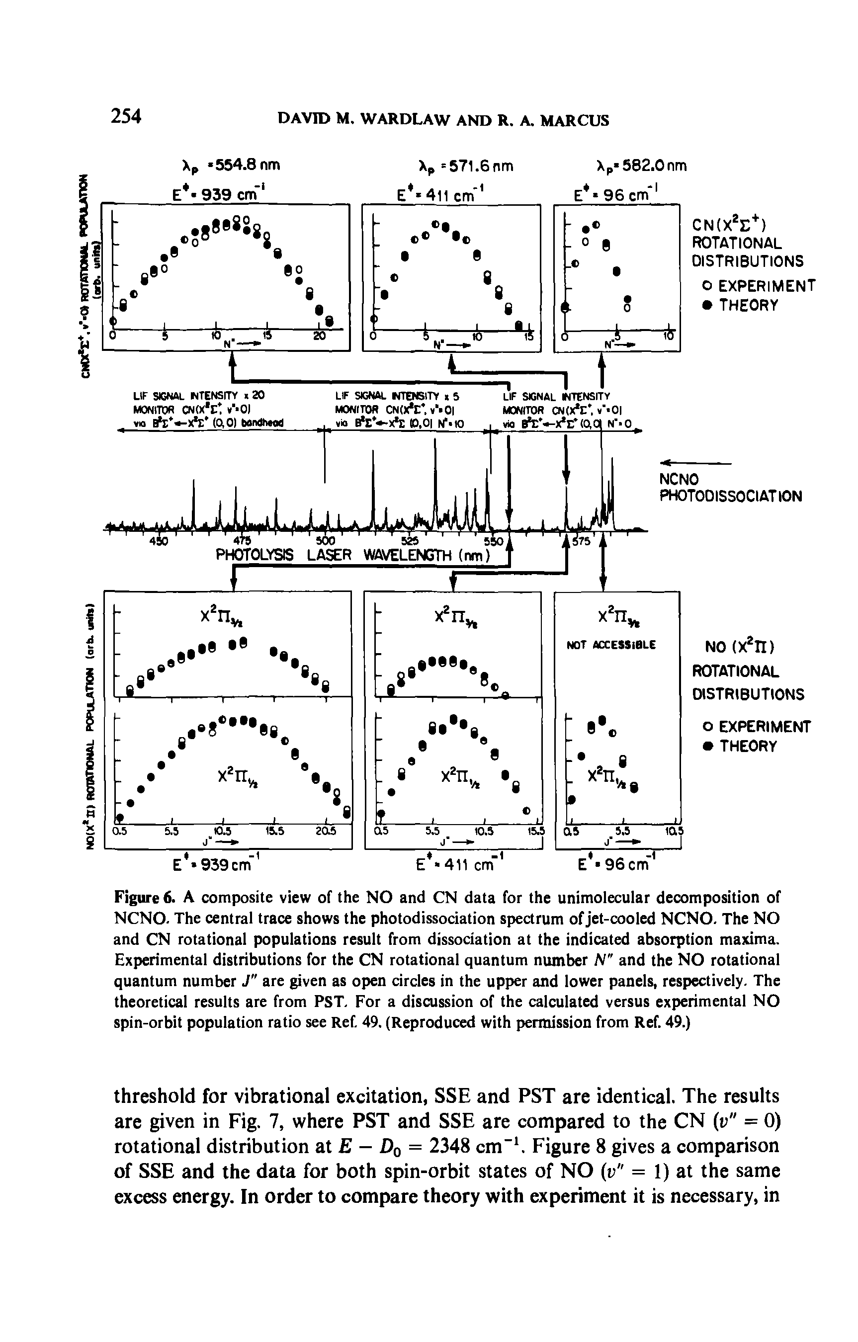 Figure 6. A composite view of the NO and CN data for the unimolecular decomposition of NCNO. The central trace shows the photodissociation spectrum of jet-cooled NCNO. The NO and CN rotational populations result from dissociation at the indicated absorption maxima. Experimental distributions for the CN rotational quantum number N" and the NO rotational quantum number J" are given as open circles in the upper and lower panels, respectively. The theoretical results are from PST. For a discussion of the calculated versus experimental NO spin-orbit population ratio see Ref. 49. (Reproduced with permission from Ref. 49.)...
