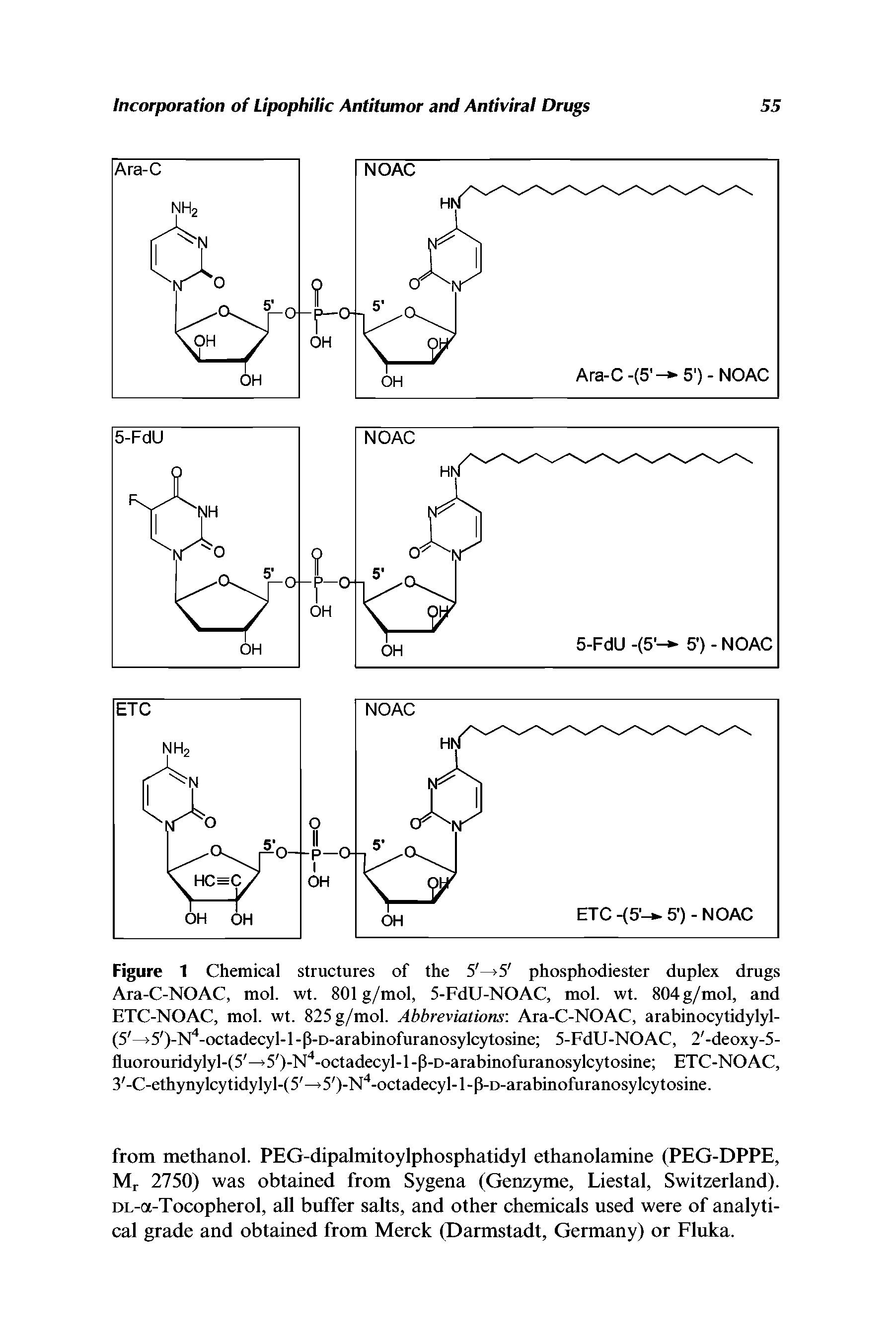Figure 1 Chemical structures of the 5 —>5 phosphodiester duplex drugs Ara-C-NOAC, mol. wt. 801g/mol, 5-FdU-NOAC, mol. wt. 804g/mol, and ETC-NOAC, mol. wt. 825g/mol. Abbreviations-. Ara-C-NOAC, arabinocytidylyl-(5 —>5 )-lSr -octadecyl-l-P-D-arabinofuranosylcytosine 5-FdU-NOAC, 2 -deoxy-5-fluorouridylyl-(5 5 )-N" -octadecyl-l-P-D-arabinofuranosylcytosine ETC-NOAC, 3 -C-ethynylcytidylyl-(5 5 )-N" -octadecyl-l-P-D-arabinofuranosylcytosine.