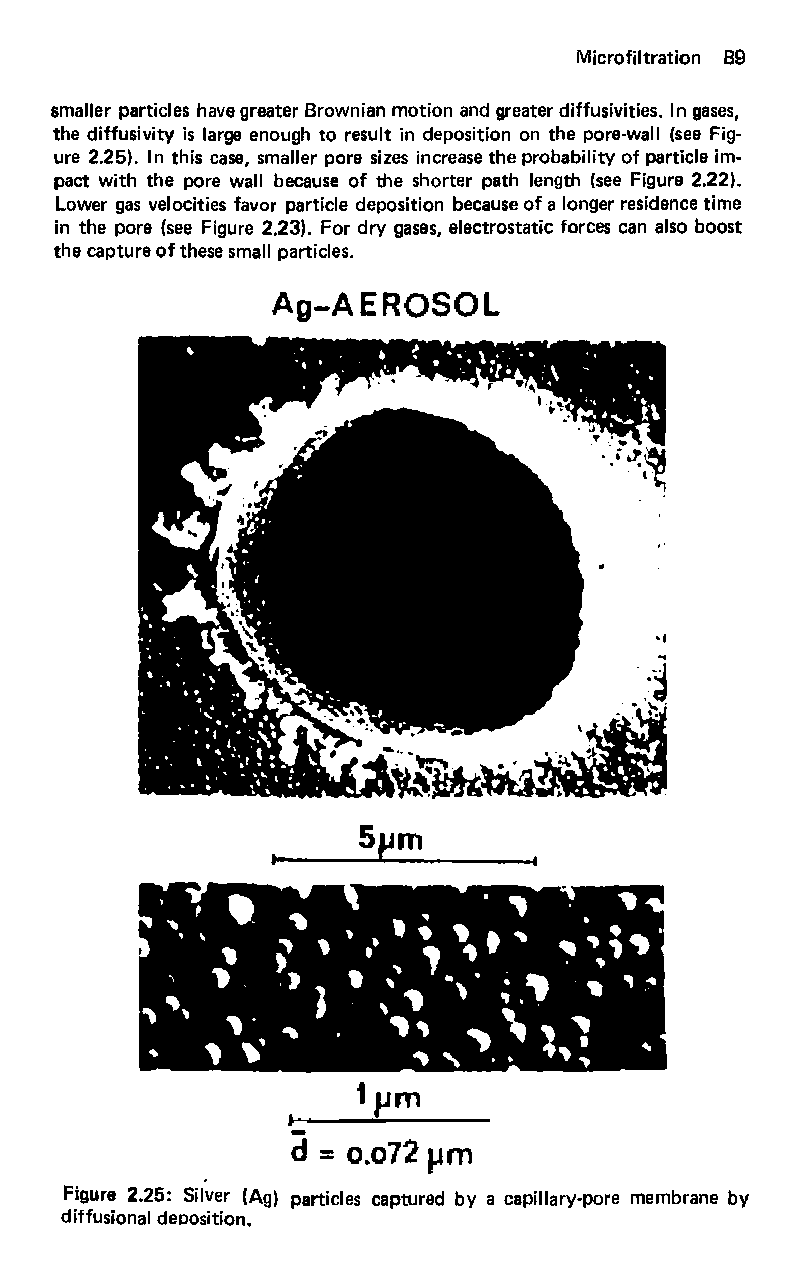 Figure 2.25 Silver (Ag) particles captured by a capillary-pore membrane by diffusional deposition.