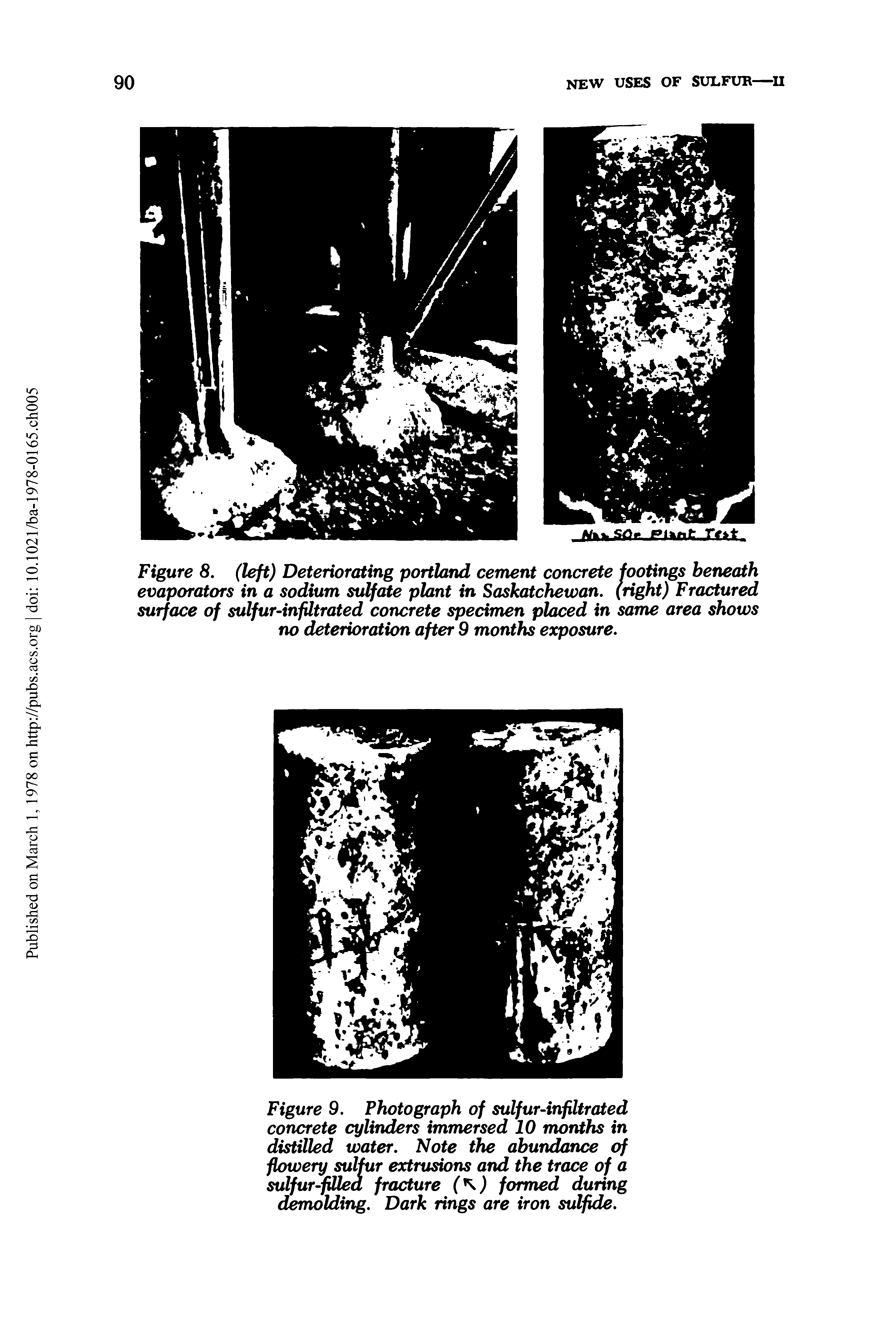 Figure 9. Photograph of sulfur-infiltrated concrete cylinders immersed 10 months in distilled water. Note the abundance of flowery sulfur extrusions and the trace of a sulfur-fitted fracture ( ) formed during aemolding. Dark rings are iron sulfide.