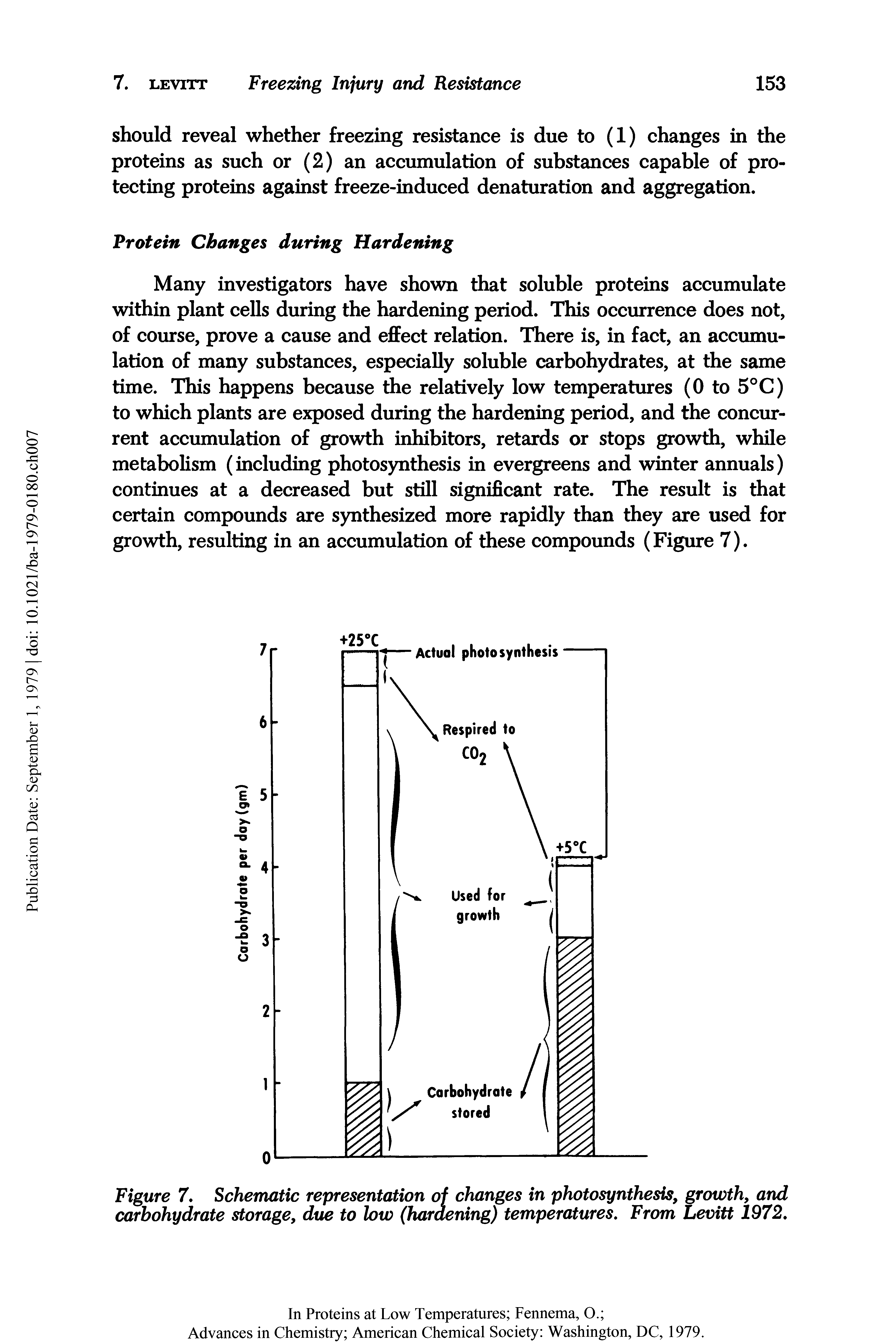 Figure 7. Schematic representation of changes in photosynthesis, growth, and carbohydrate storage, due to low (hardening) temperatures. From Levitt 1972.